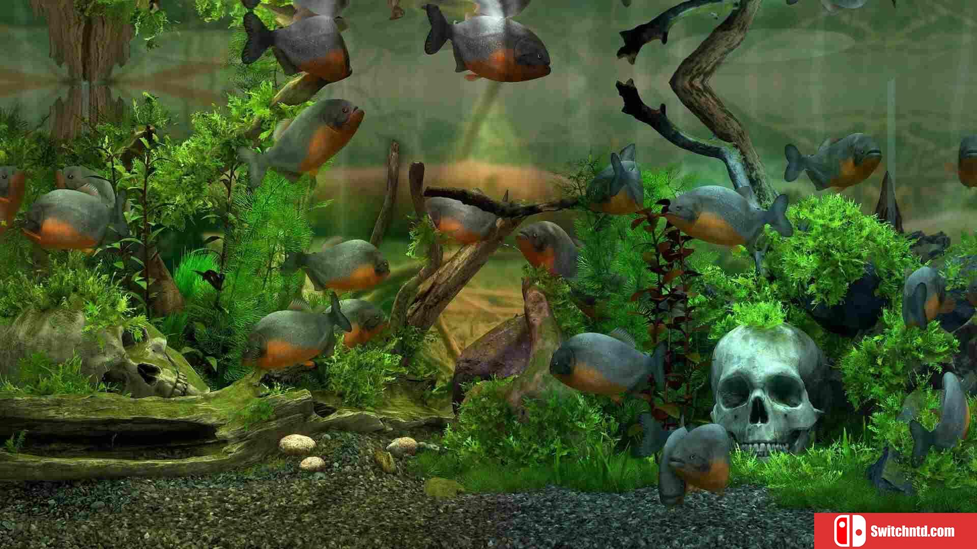 《玻璃背后：水族馆模拟器（Behind Glass: Aquarium Simulator）》TENOKE镜像版[EN/JP]_5