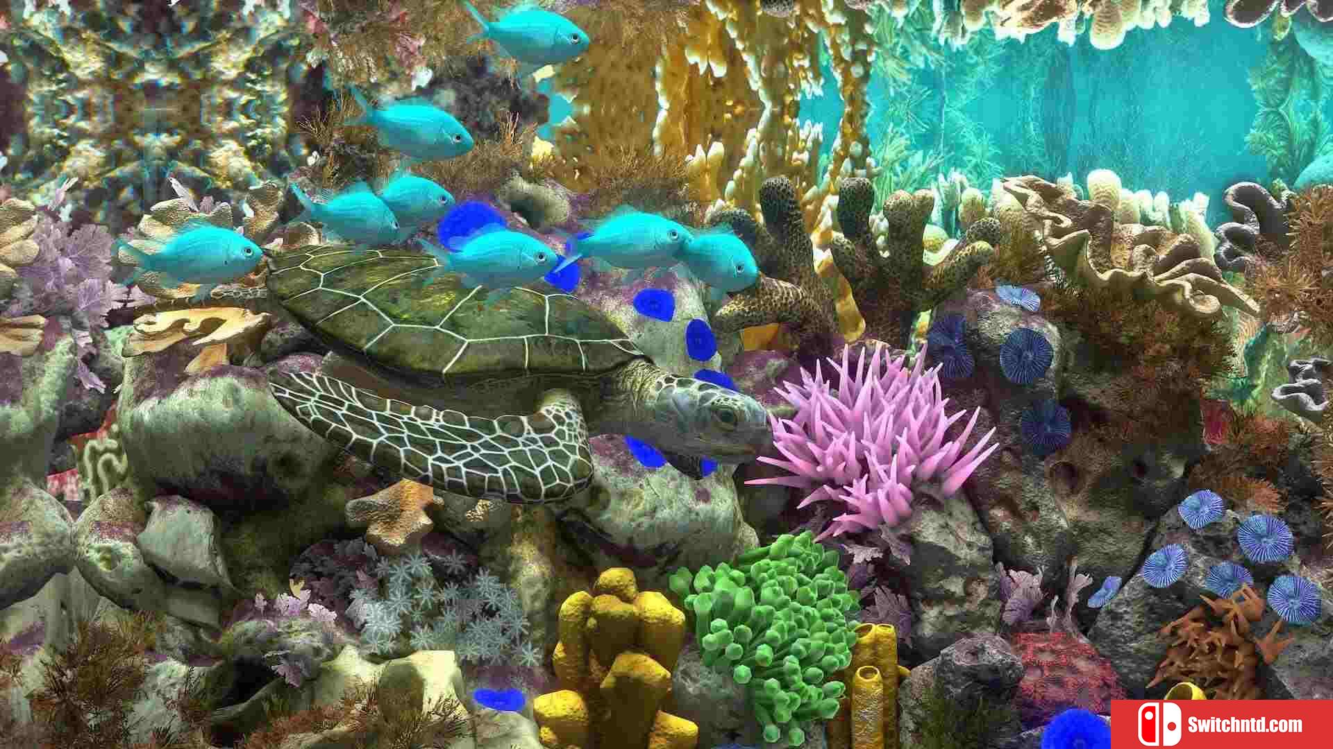 《玻璃背后：水族馆模拟器（Behind Glass: Aquarium Simulator）》TENOKE镜像版[EN/JP]_2