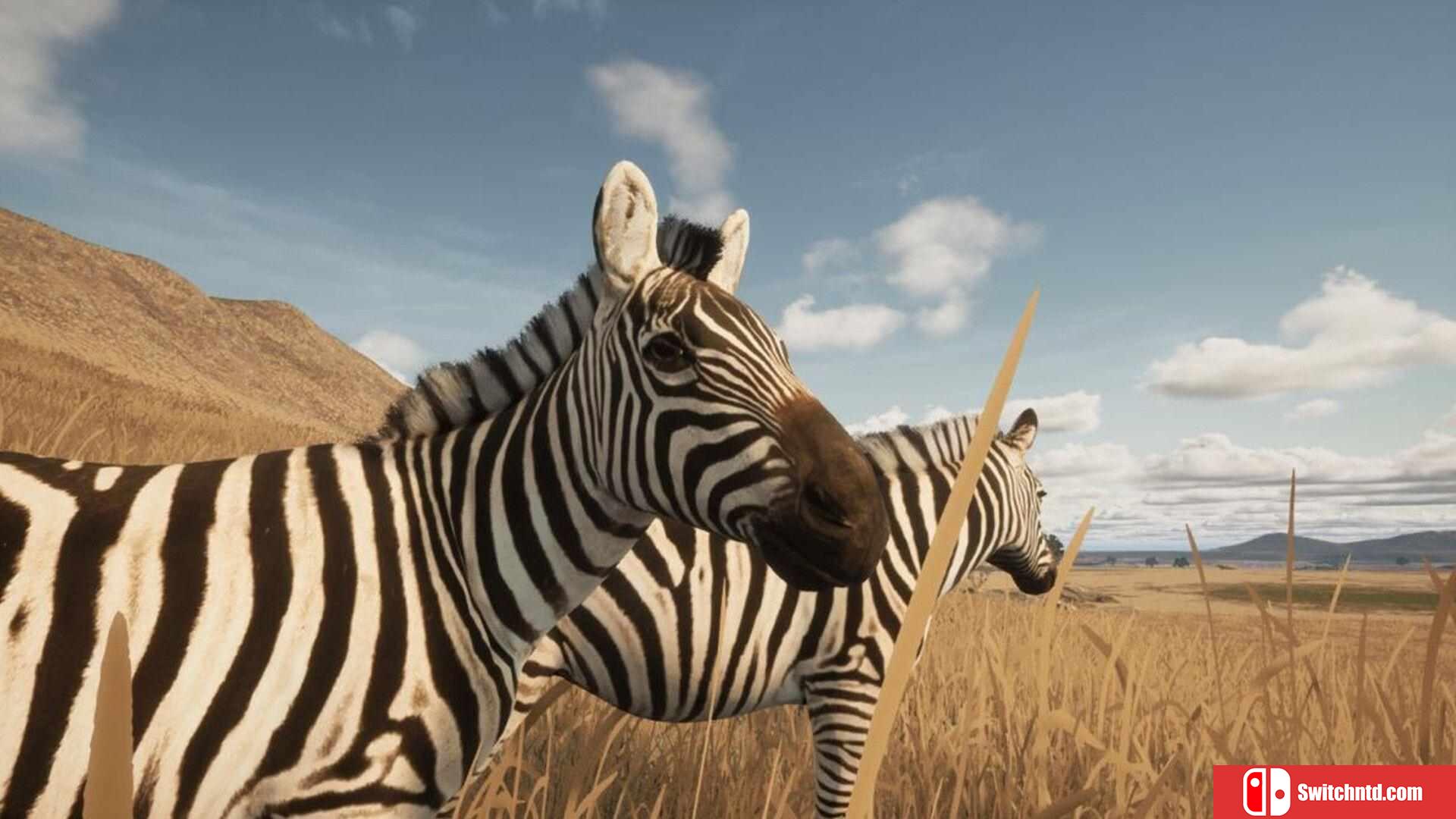 《动物生存（Animalia Survival）》Build 16992489 P2P硬盘版[EN]_5