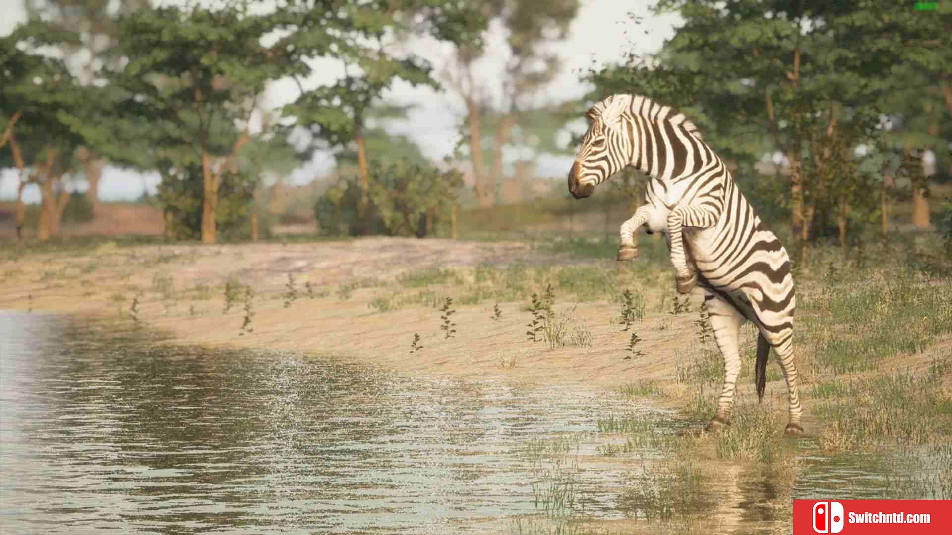《动物生存（Animalia Survival）》Build 16992489 P2P硬盘版[EN]_3