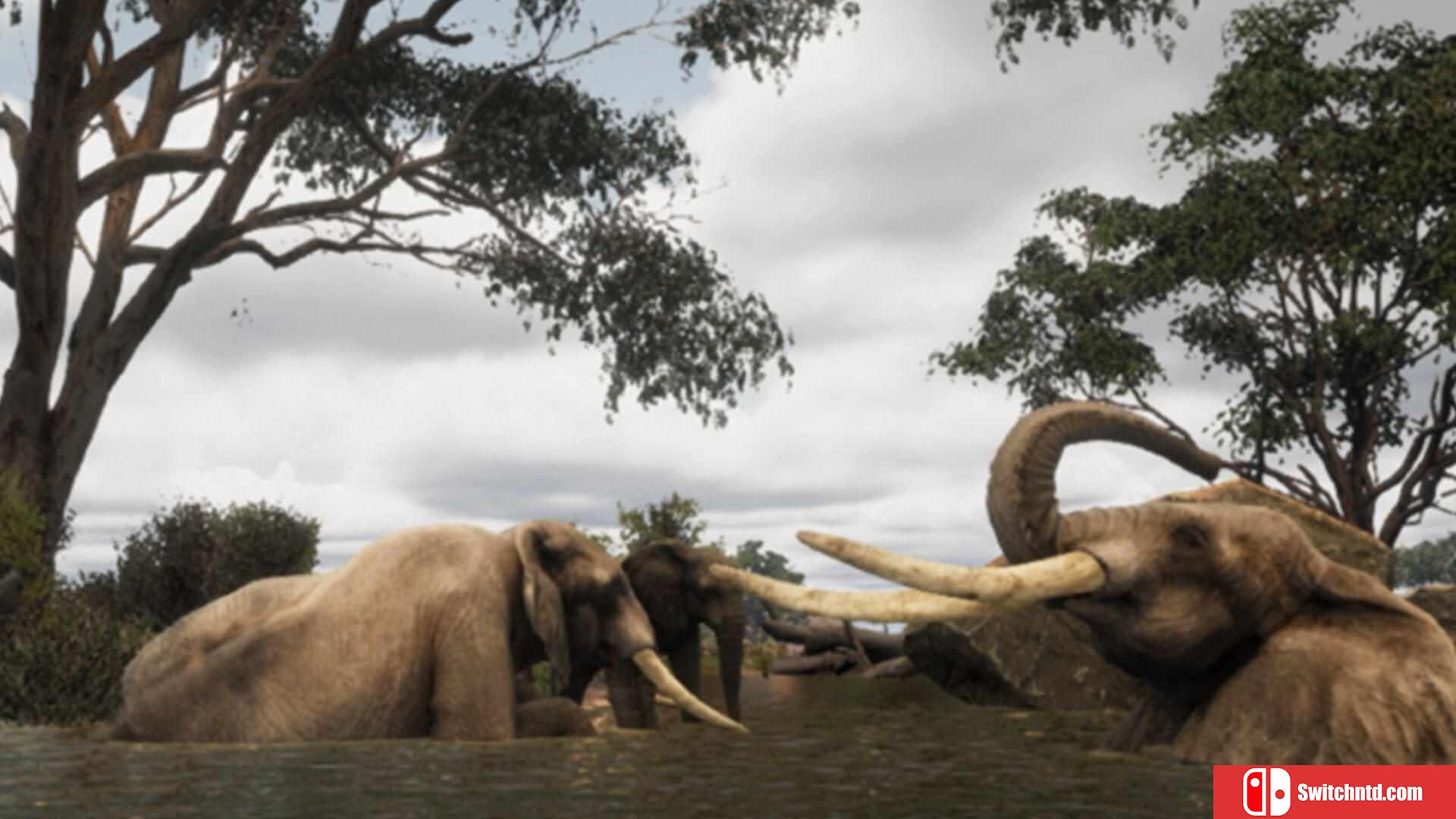《动物生存（Animalia Survival）》Build 16992489 P2P硬盘版[EN]_4