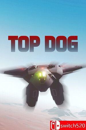 《顶级飞行员（TOP DOG）》P2P硬盘版[EN]