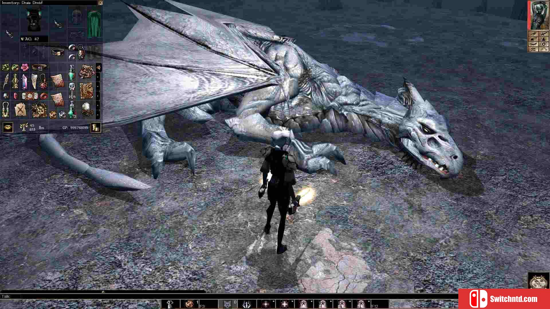 《无冬之夜：增强版（Neverwinter Nights: EE）》集成冰风谷末日DLC SKIDROW镜像版[EN]_4
