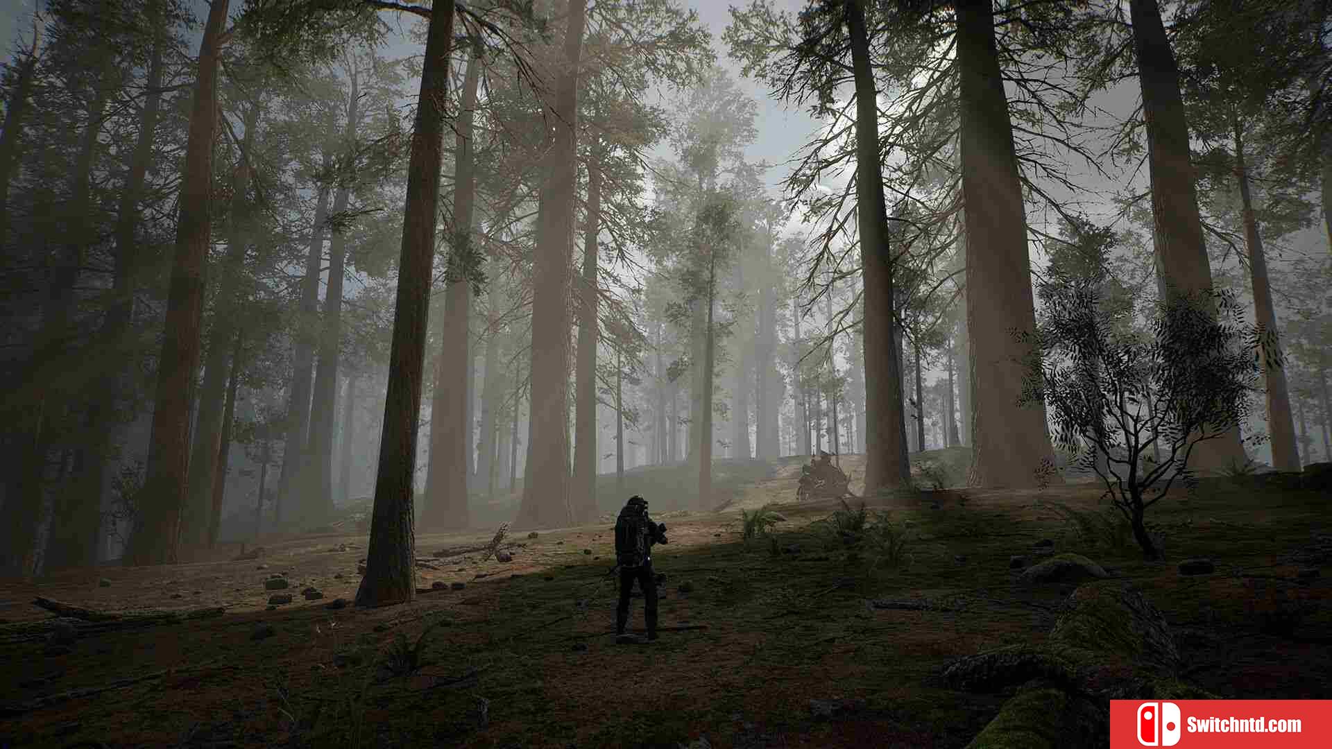 《生命效应（LIFE EFFECT）》Early Access P2P硬盘版[EN]_3