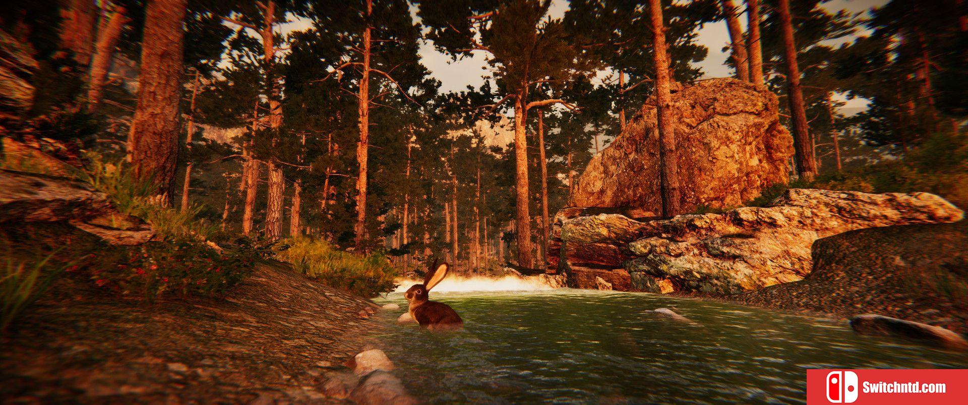 《动物模拟器（Animal Simulator）》TENOKE镜像版[EN]_4