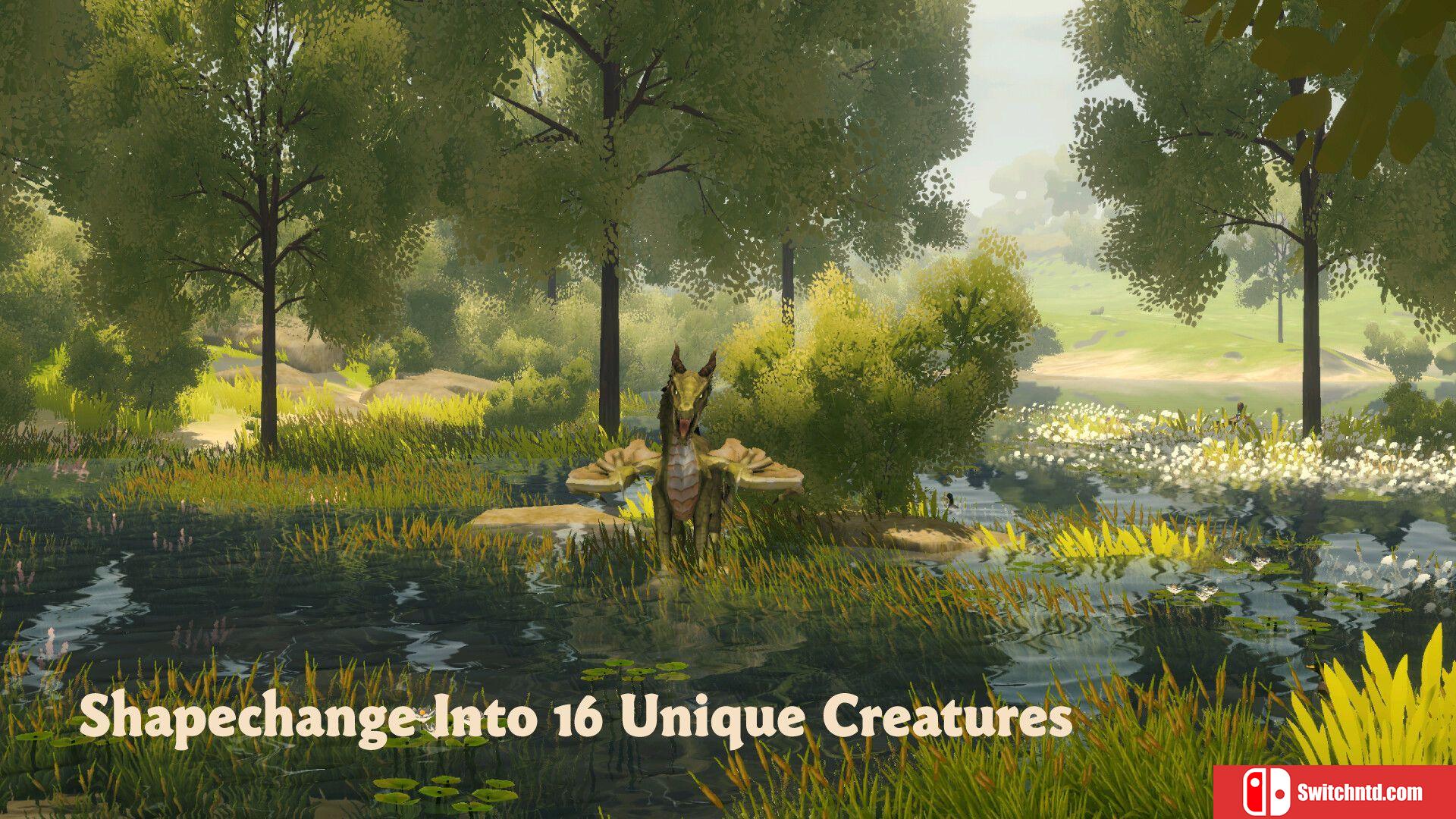《荒野：梅多费尔（Wilderless: Meadowfell）》Build 17369606 P2P硬盘版[EN]_3