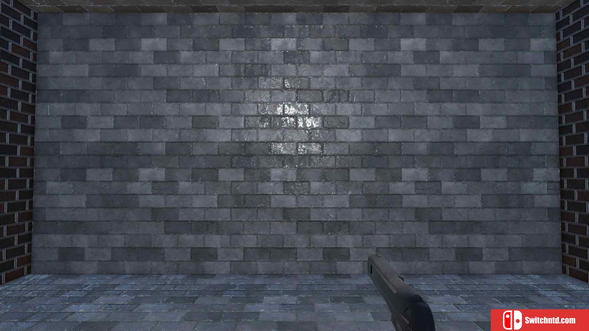 《射穿墙壁（Shoot The Wall）》TENOKE镜像版[EN]_2