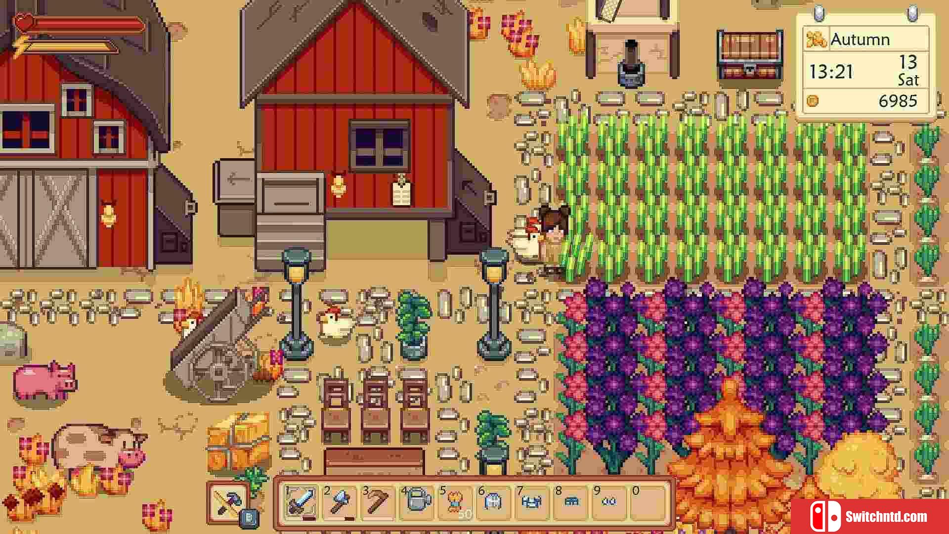 《阳光农场（Sunshine Farm）》Build 18933484 P2P硬盘版[EN]_1
