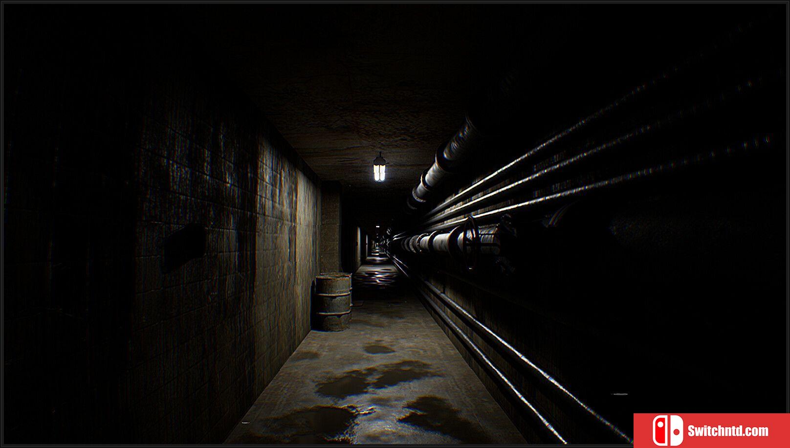 《后室：探险（The Backrooms: Expedition）》TENOKE镜像版[EN]_3