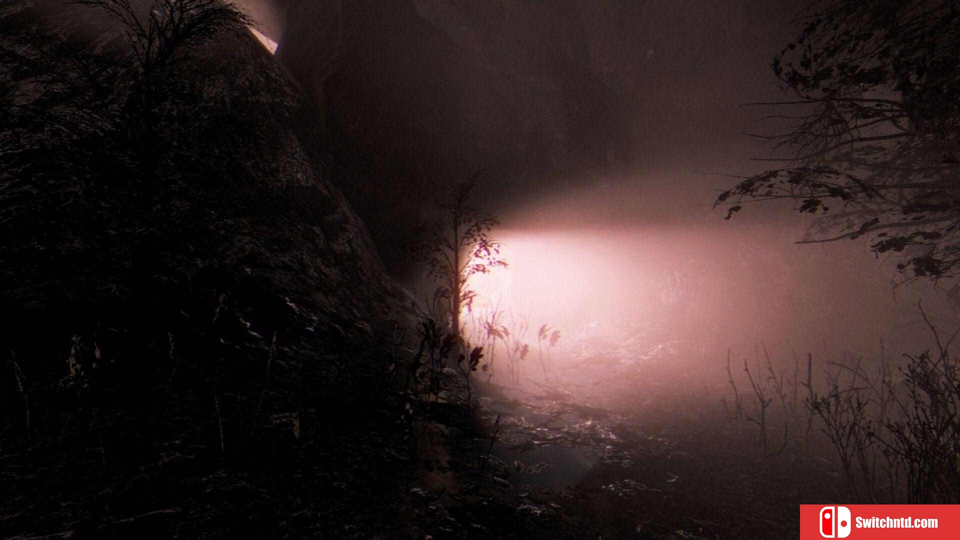 《墓之外传：白色沉寂（Tales Beyond The Tomb - White Silence）》TENOKE镜像版[EN]_5