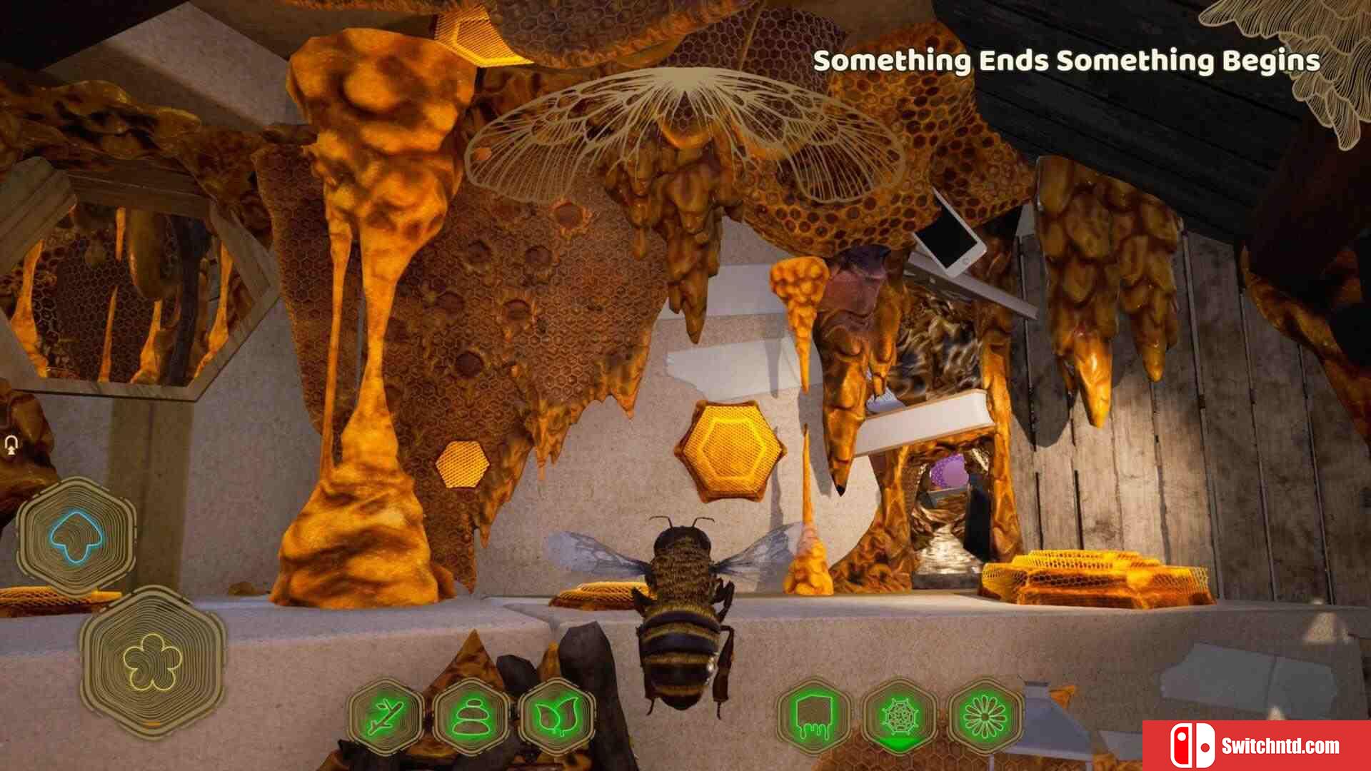 《蜜蜂模拟器：蜂巢（Bee Simulator: The Hive）》官方中文 RUNE镜像版[CN/TW/EN]_1