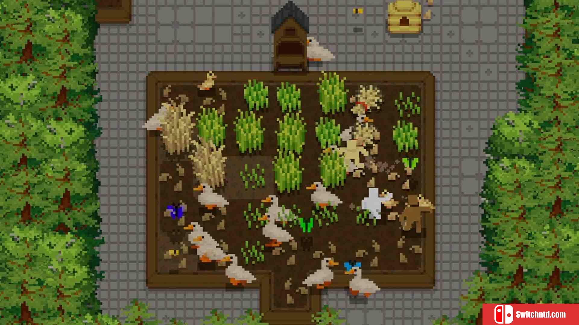 《微型露台（Tiny Terraces）》官方中文 Build 19573559 P2P硬盘版[CN/EN/JP]_2