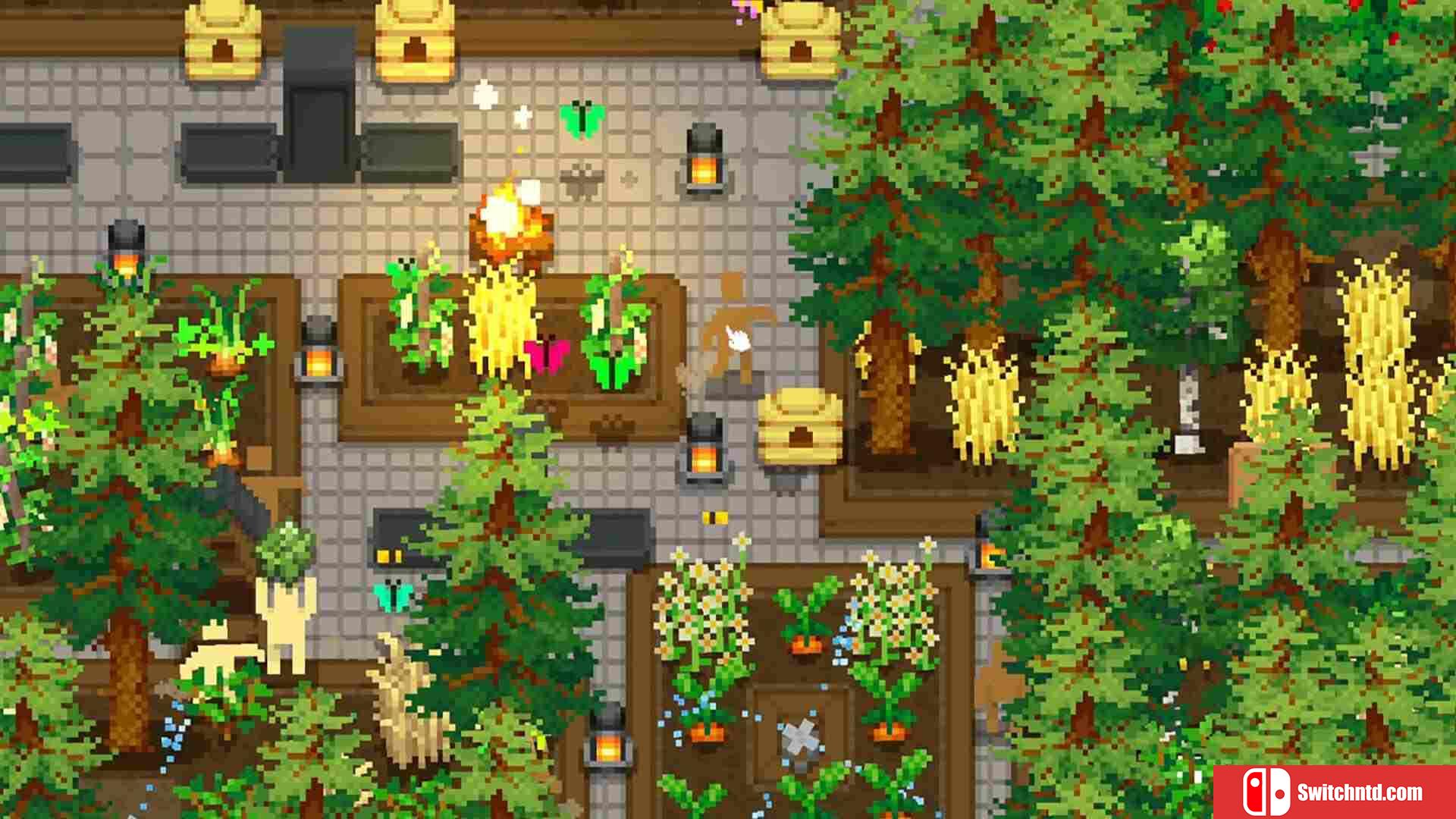 《微型露台（Tiny Terraces）》官方中文 Build 19573559 P2P硬盘版[CN/EN/JP]_3
