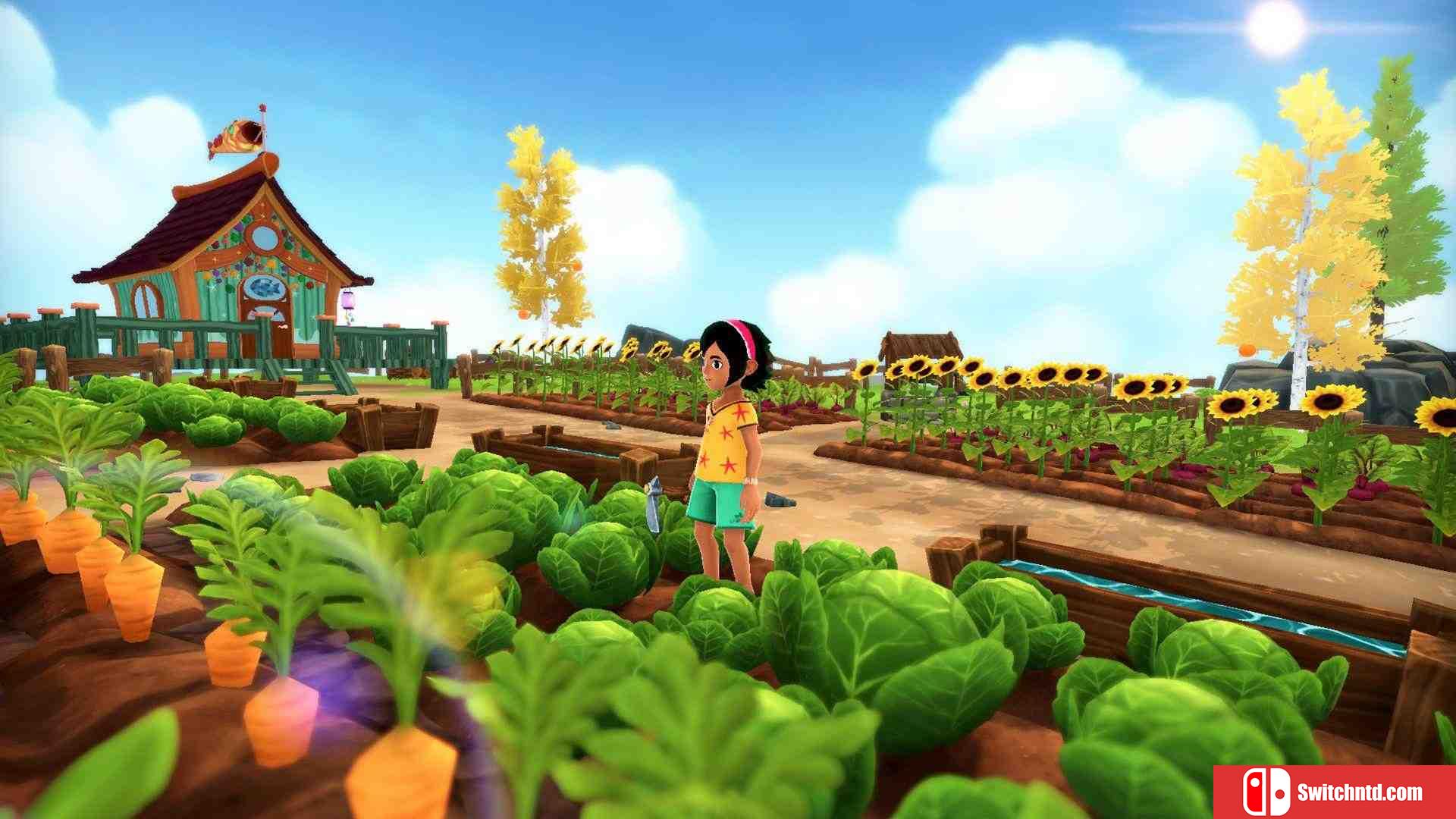 《玛拉的夏天（Summer in Mara）》官方中文 v1.9 GOG硬盘版[CN/EN]_1