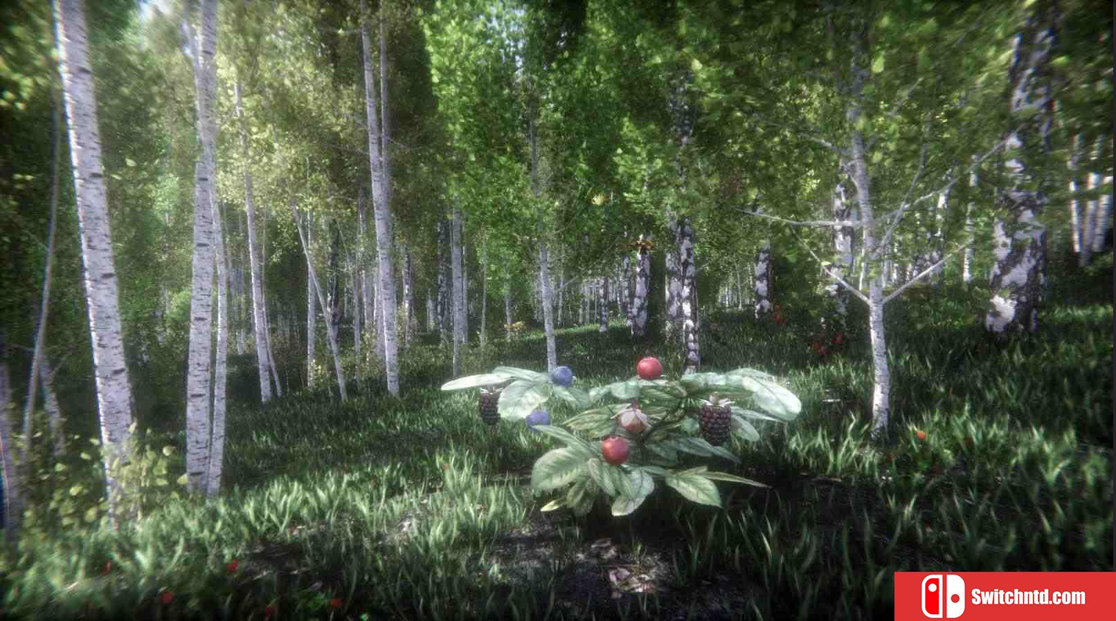 《浆果挑战赛（Berries Challenge）》官方中文 Build 5590358 Chronos硬盘版[CN/TW/EN/JP]_2