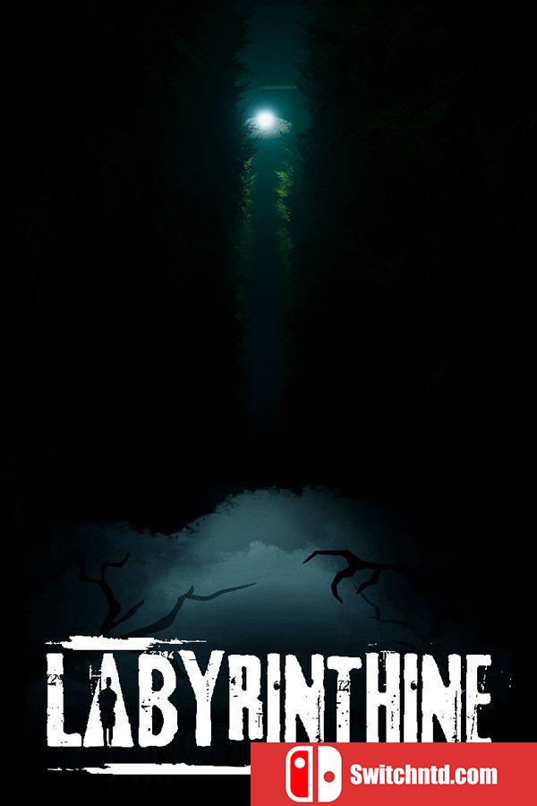 《迷路（Labyrinthine）》官方中文 v20250827 TENOKE镜像版[CN/EN/JP]