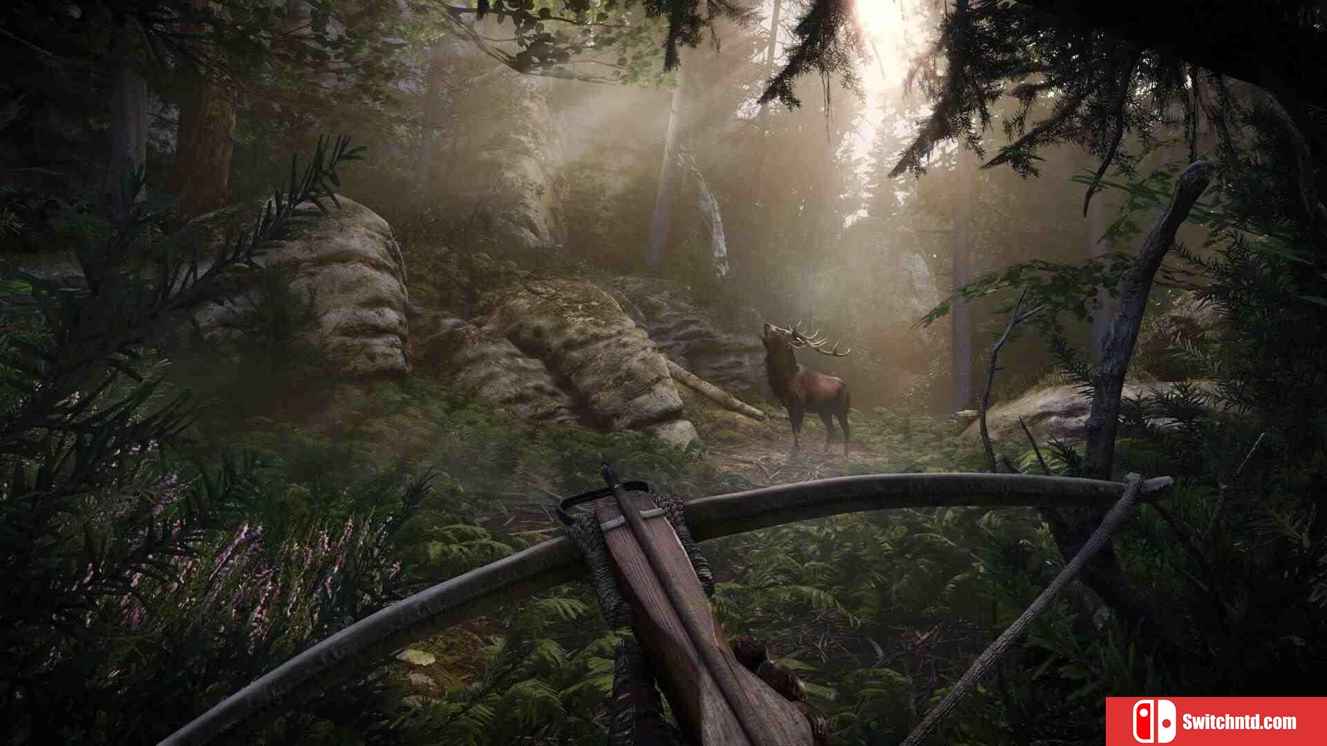 《天国：拯救2（Kingdom Come: Deliverance II）》集成锻炉的遗产DLC RUNE镜像版[CN/TW/EN/JP]_5