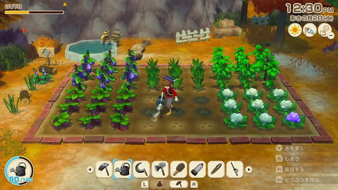 牧场物语 风之集会（1.0.3）金手指 金手指_2