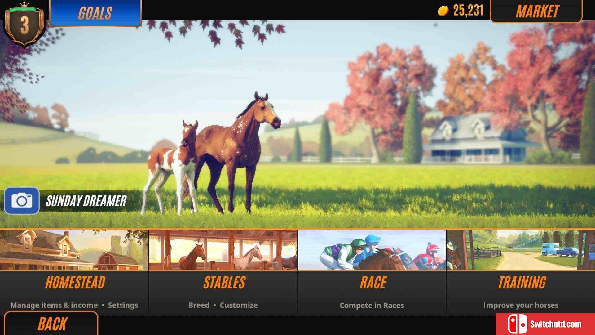 《家族传奇：马匹养成竞技（Rival Stars Horse Racing: DE）》桌面版 HOODLUM修正镜像版[CN/EN]_4