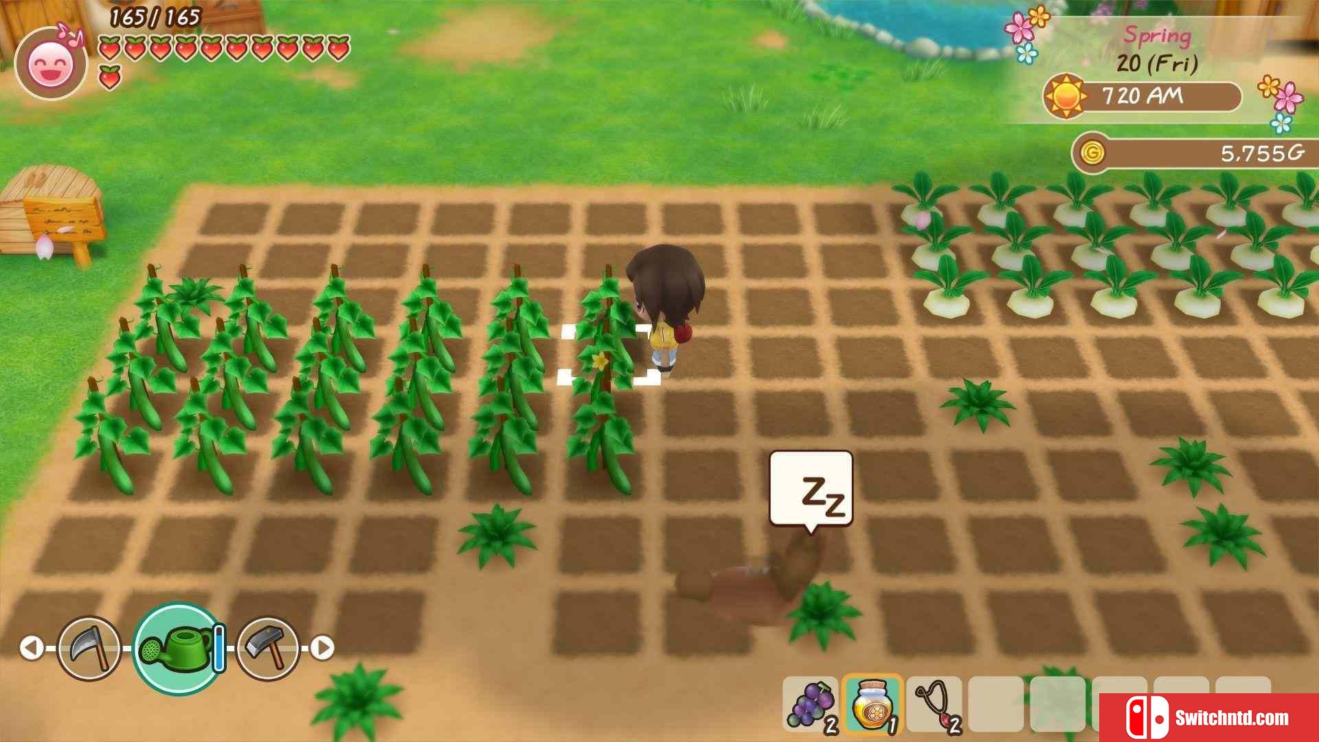 《牧场物语：重聚矿石镇（STORY OF SEASONS: Friends of Mineral Town）》PLAZA镜像版[CN/EN]_3