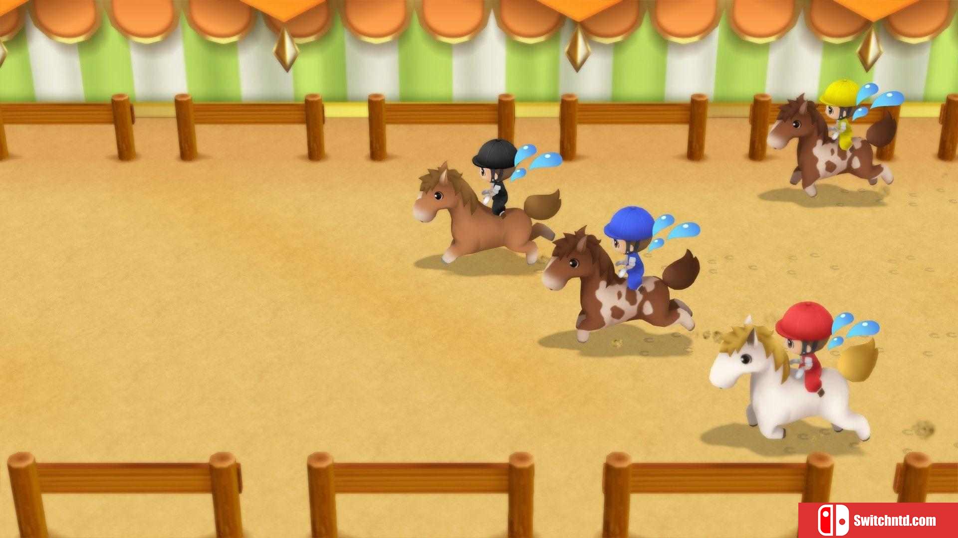 《牧场物语：重聚矿石镇（STORY OF SEASONS: Friends of Mineral Town）》PLAZA镜像版[CN/EN]_4