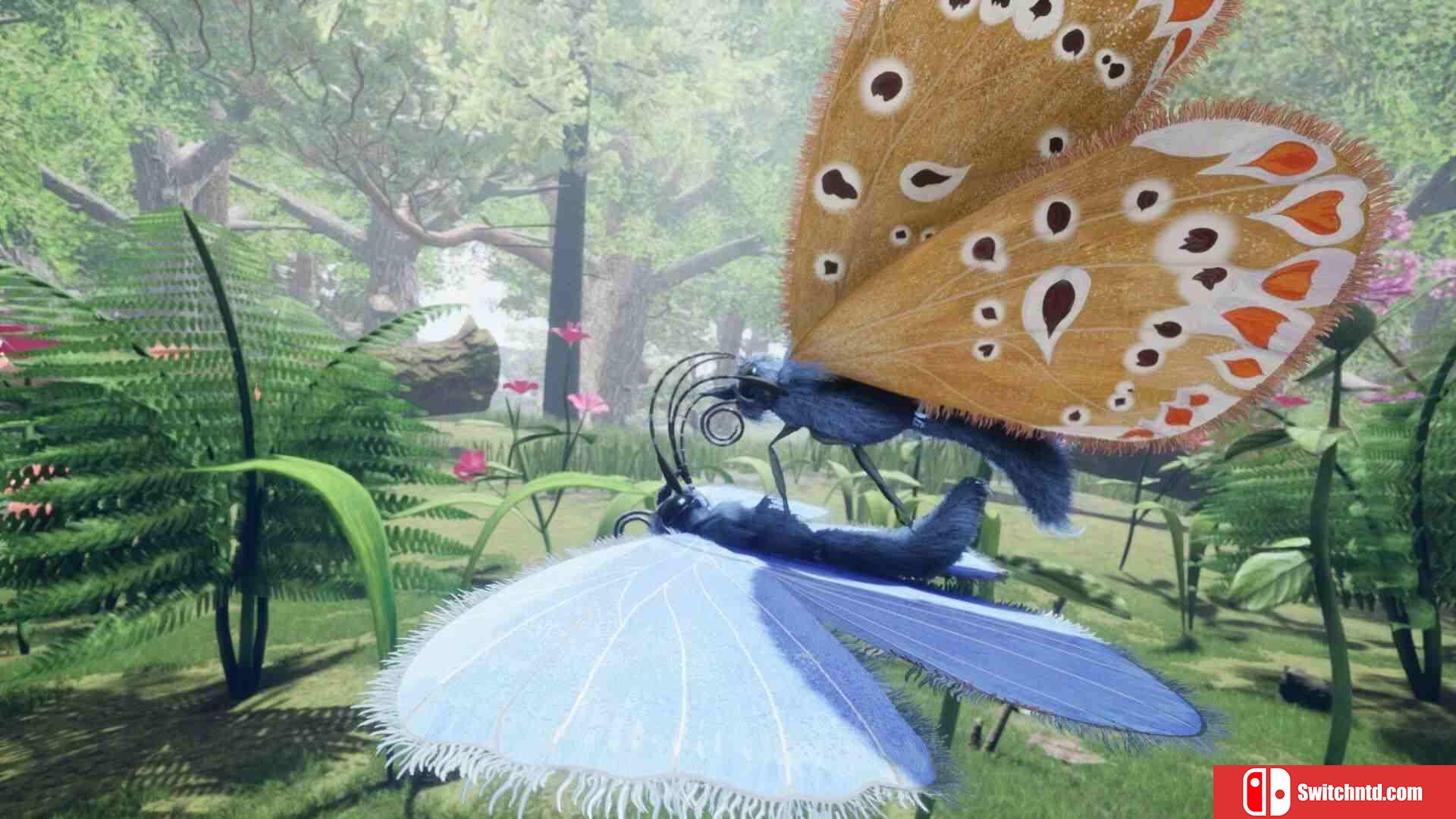 《自然与生命：沉醉于花蜜（Nature And Life Drunk On Nectar）》v1.0.4.5.1 TENOKE镜像版[EN]_2