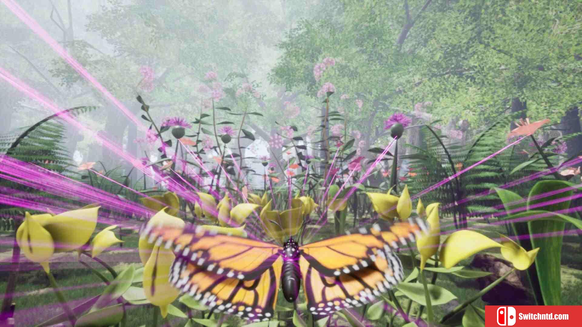 《自然与生命：沉醉于花蜜（Nature And Life Drunk On Nectar）》v1.0.4.5.1 TENOKE镜像版[EN]_4