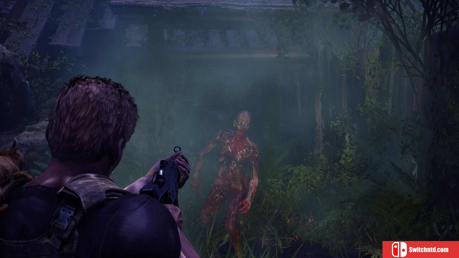 《衰变起源（DecayZ Origin）》Early Access P2P硬盘版[EN]_1