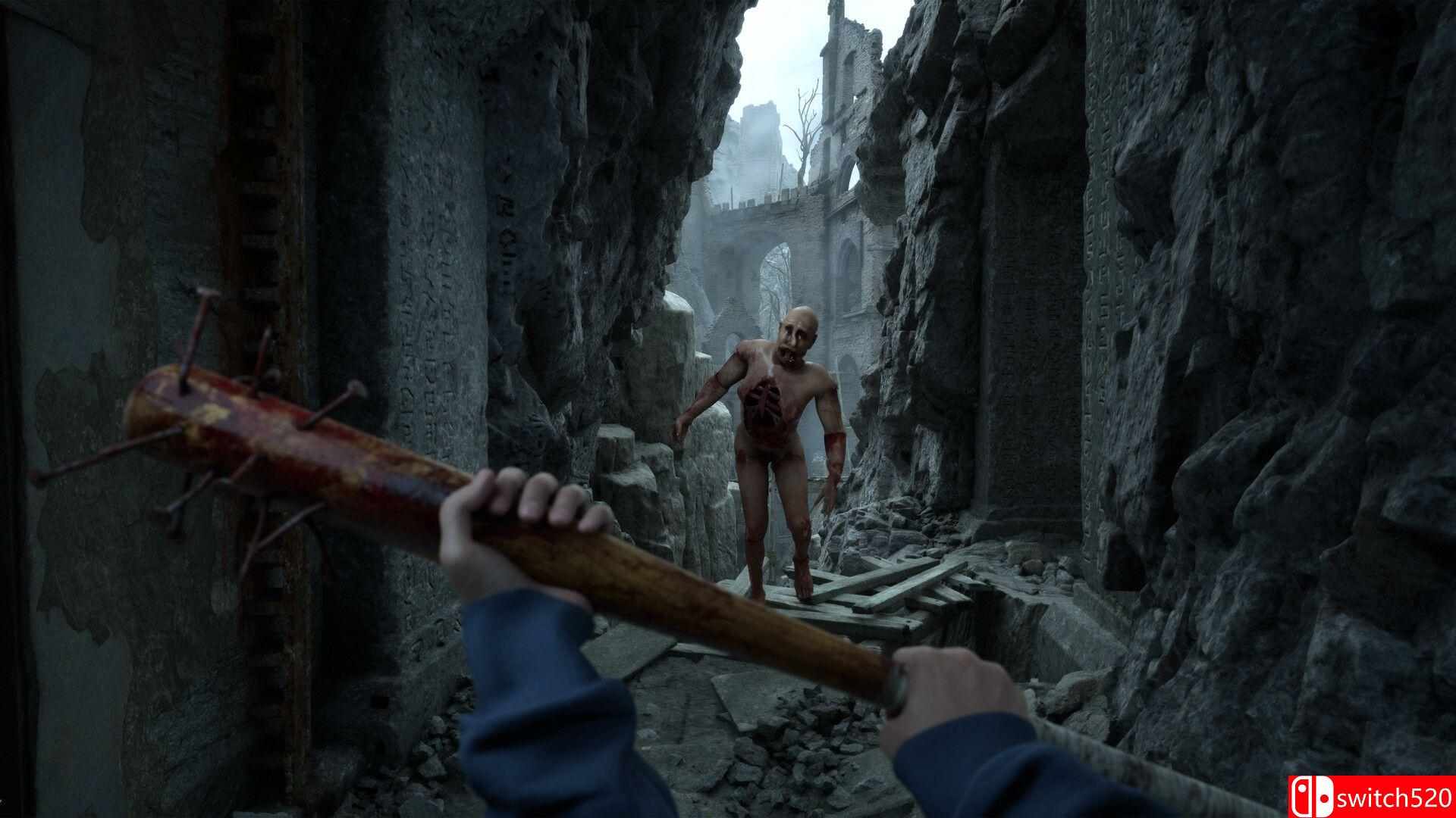 《荒凉避难所（Bleak Haven）》官方中文 P2P硬盘版[CN/EN/JP]_4