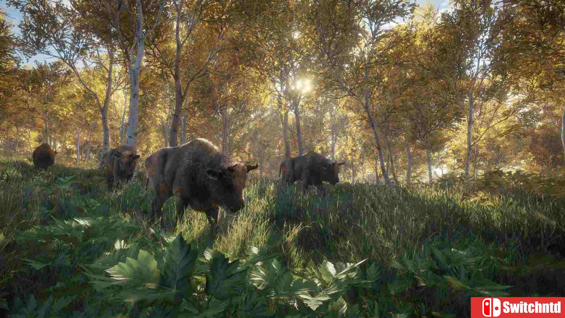 《猎人：荒野的呼唤（theHunter: Call of the Wild）》集成DLC CODEX镜像版[CN/EN]_2