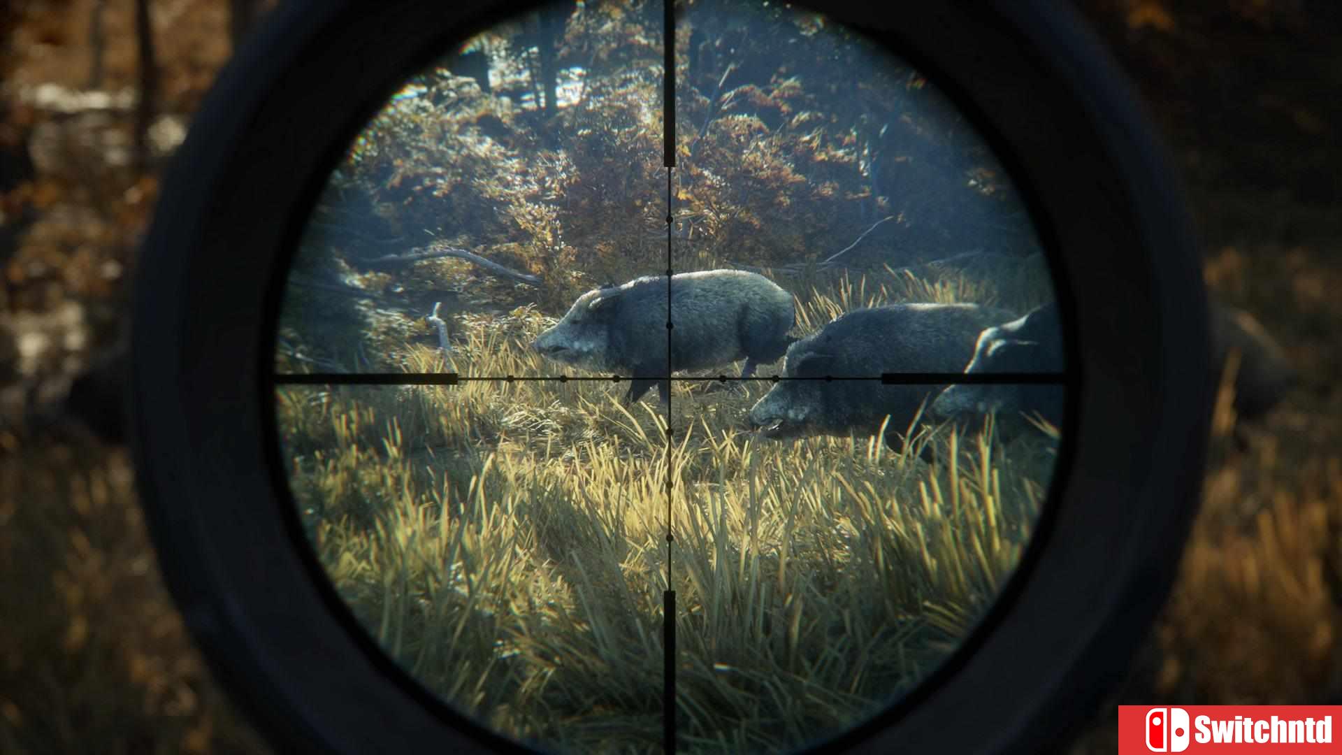 《猎人：荒野的呼唤（theHunter: Call of the Wild）》集成DLC CODEX镜像版[CN/EN]_6