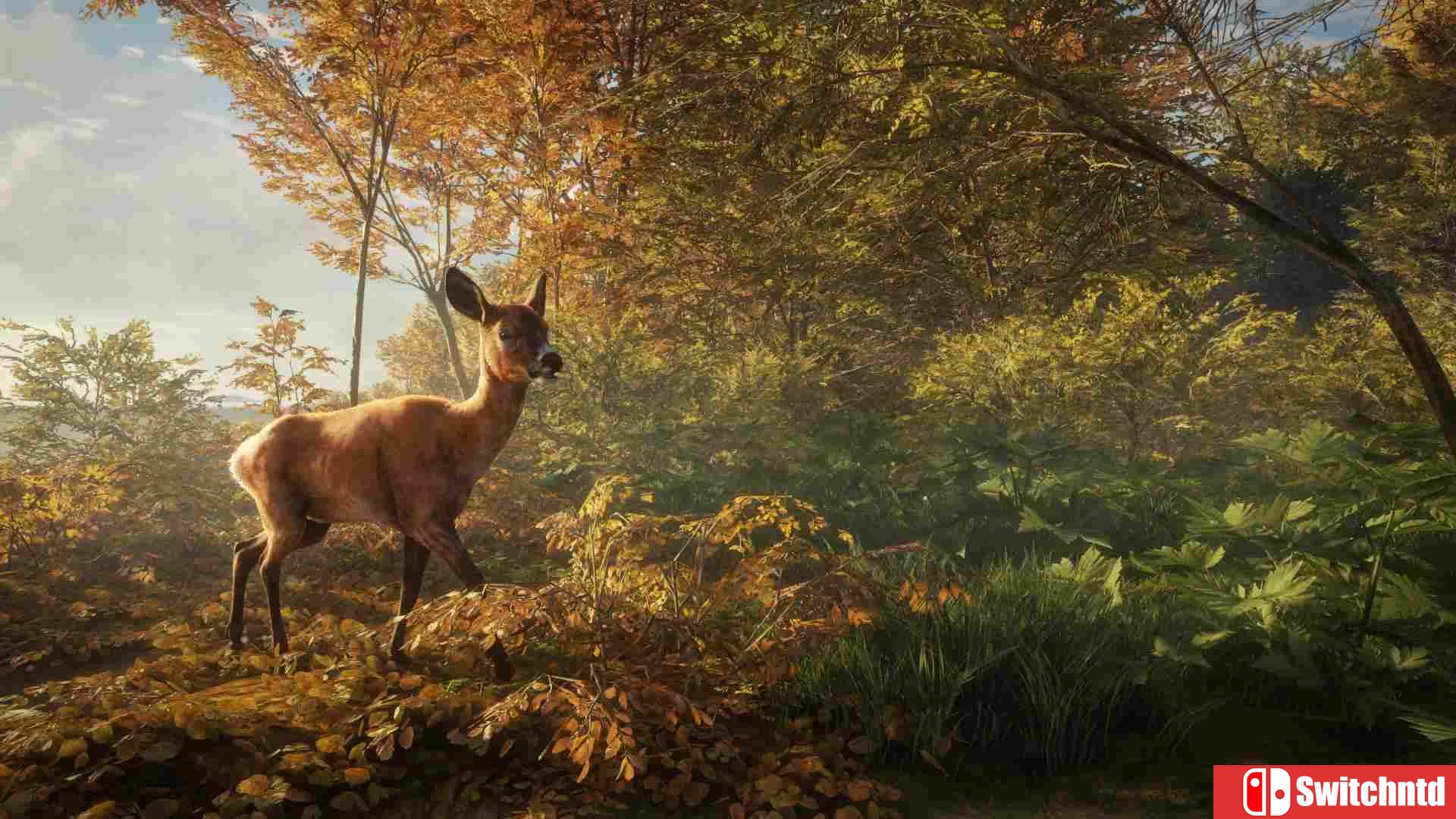 《猎人：荒野的呼唤（theHunter: Call of the Wild）》集成DLC CODEX镜像版[CN/EN]_7
