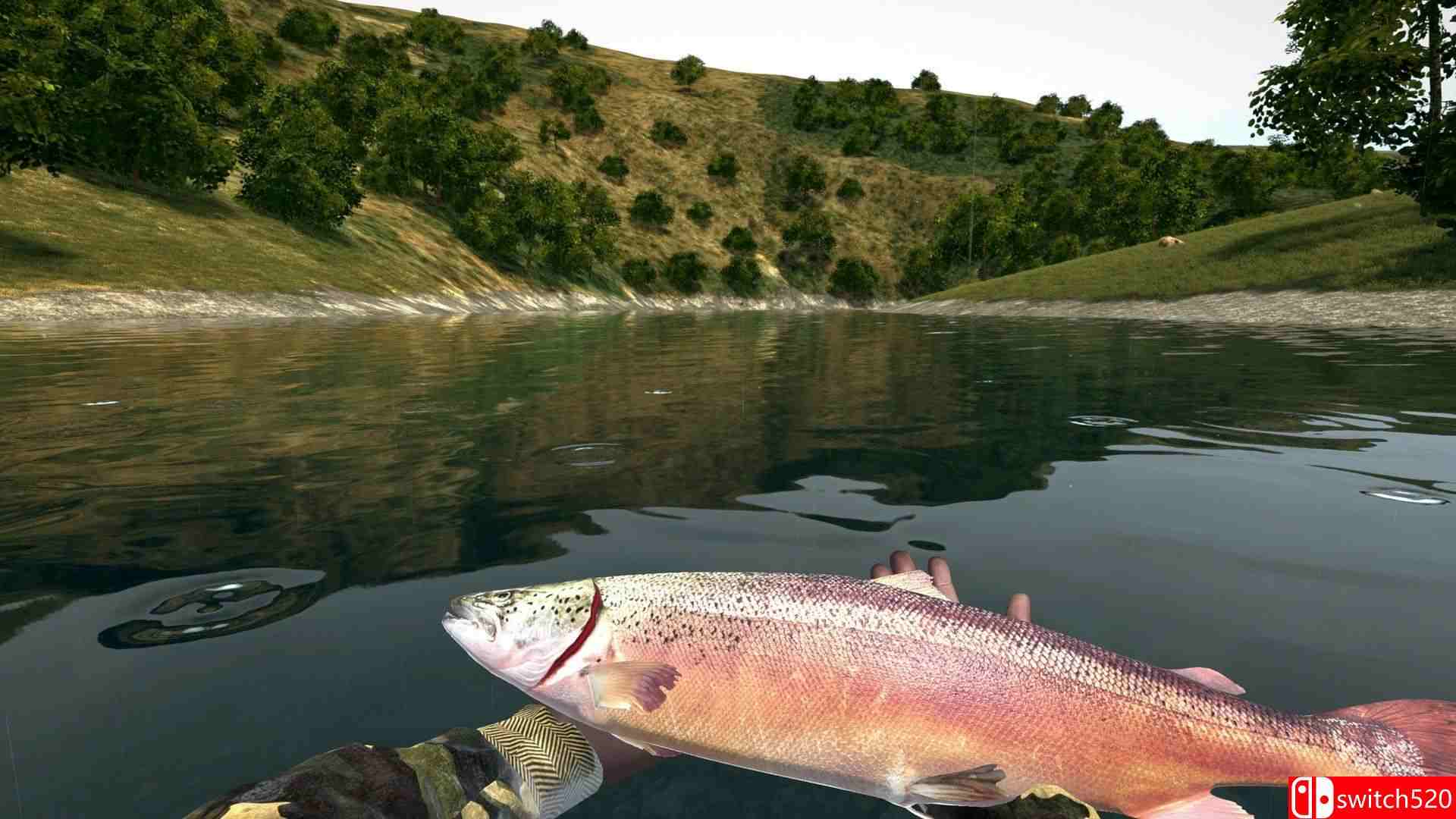 《终极钓鱼模拟器（Ultimate Fishing Simulator）》集成日本DLC CODEX镜像版[CN/EN/JP]_1