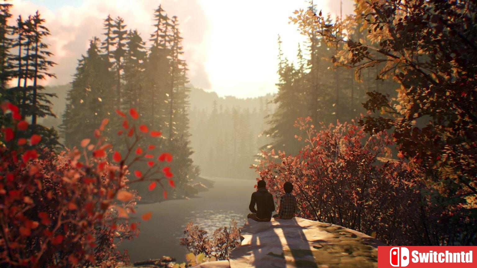《奇异人生2（Life is Strange 2）》第1-2章 CPY镜像版[CN/EN]_5