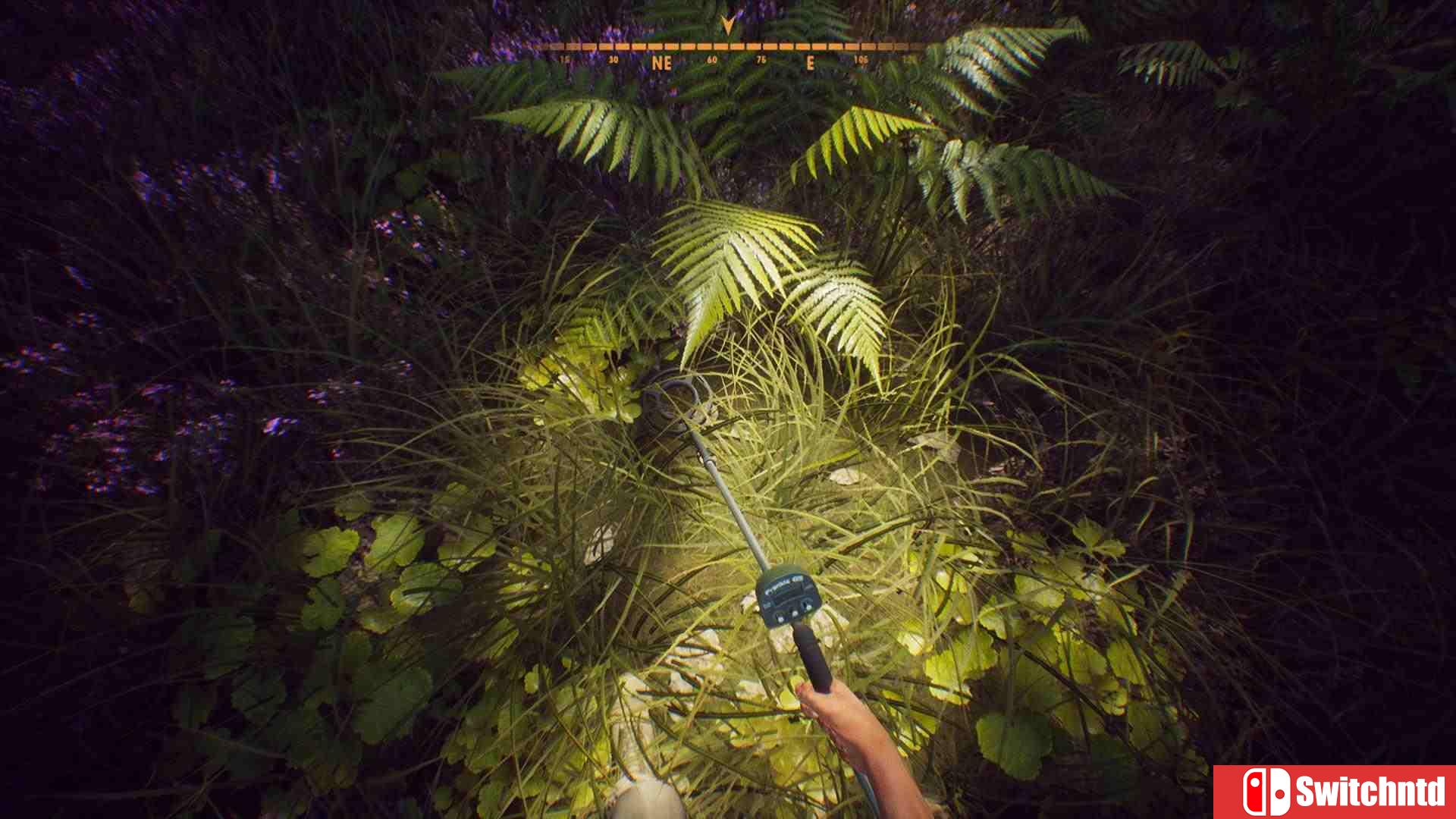 《宝藏猎人模拟器（Treasure Hunter Simulator）》集成Exploration升级档 CODEX镜像版[CN/EN]_1