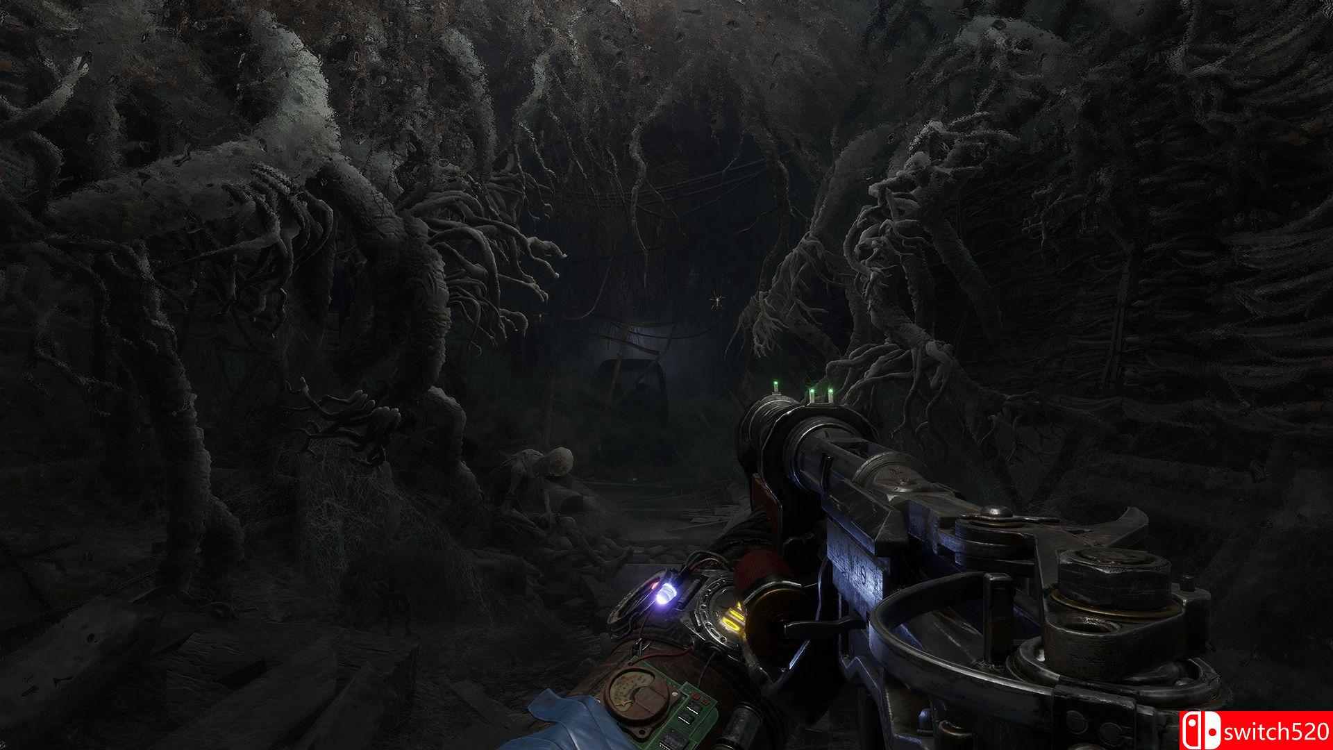 《地铁：逃离（Metro Exodus）》黄金版 集成2个DLC CODEX镜像版[CN/TW/EN]_2