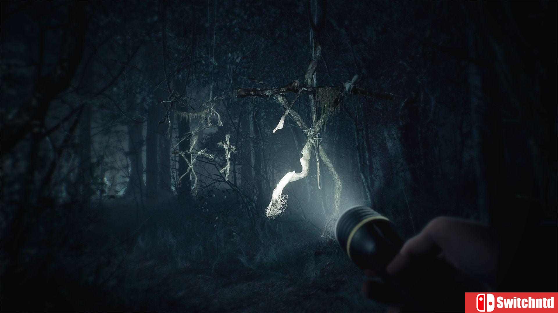 《布莱尔女巫（Blair Witch）》豪华版 PLAZA镜像版[CN/EN/JP]_2