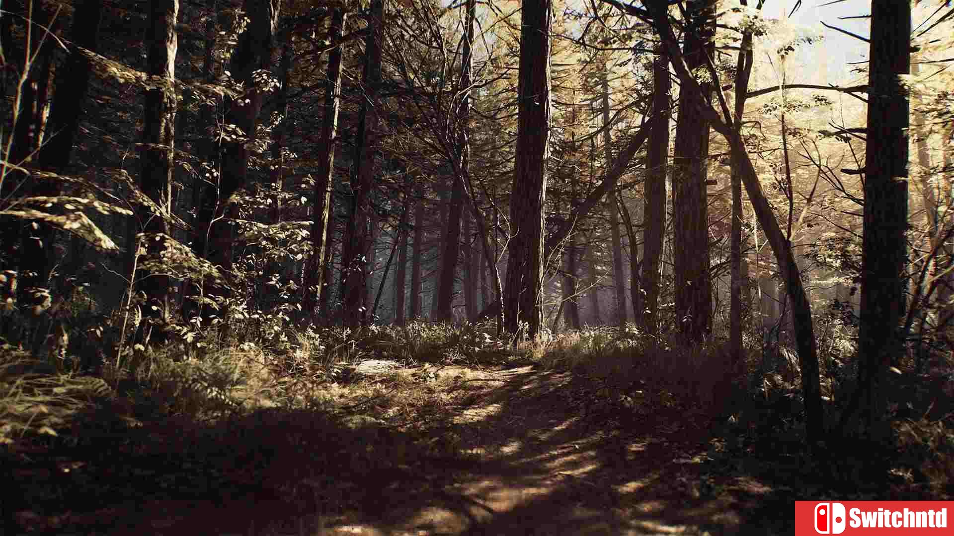 《布莱尔女巫（Blair Witch）》豪华版 PLAZA镜像版[CN/EN/JP]_3