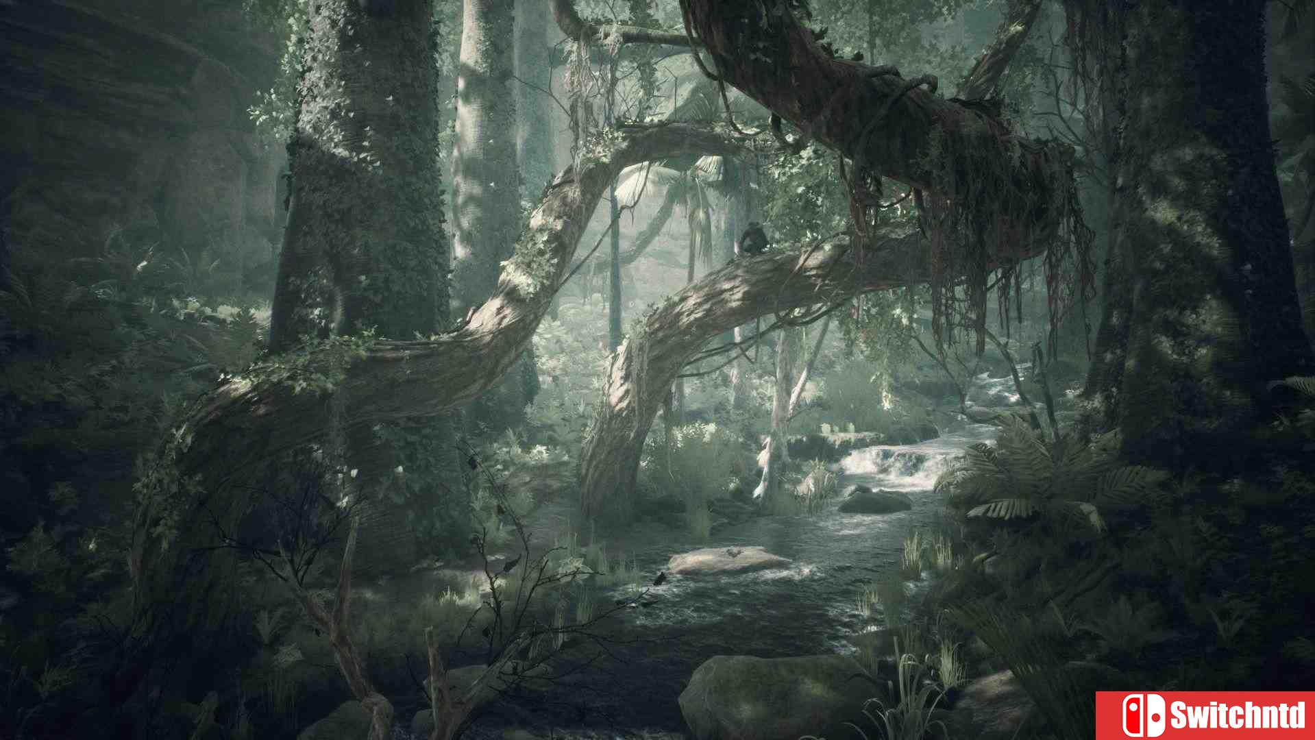 《先祖：人类奥德赛（Ancestors: The Humankind Odyssey）》官方中文 CODEX镜像版[CN/TW/EN]_1