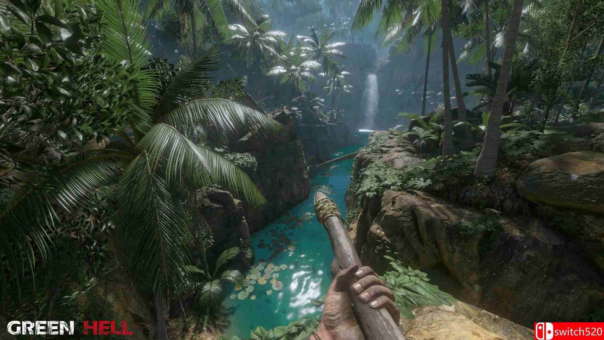 《绿色地狱（Green Hell）》v1.5 PLAZA镜像版[CN/TW/EN/JP]_1