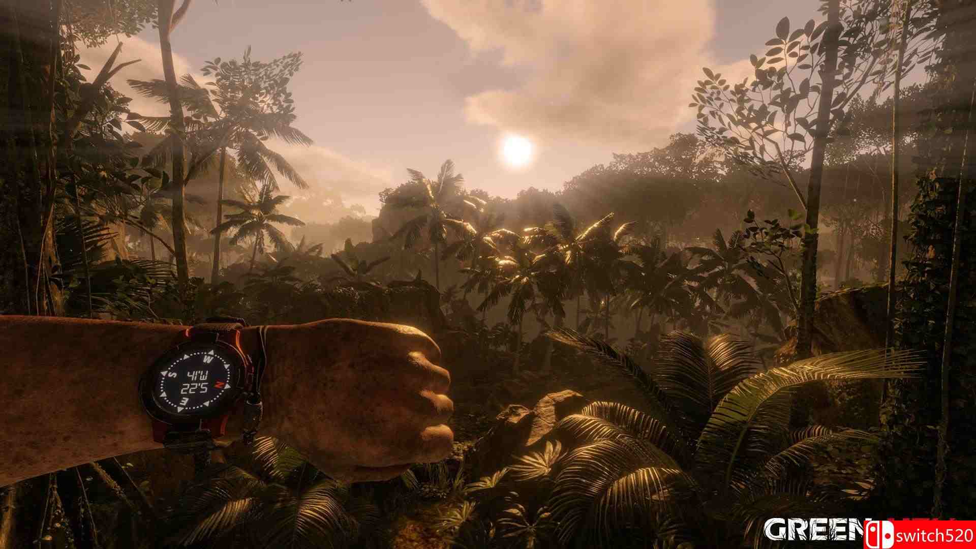 《绿色地狱（Green Hell）》v1.5 PLAZA镜像版[CN/TW/EN/JP]_3