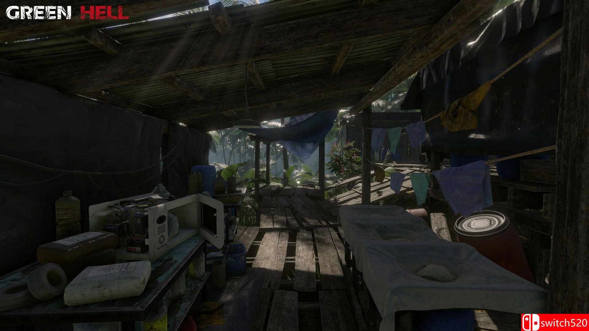 《绿色地狱（Green Hell）》v1.5 PLAZA镜像版[CN/TW/EN/JP]_5