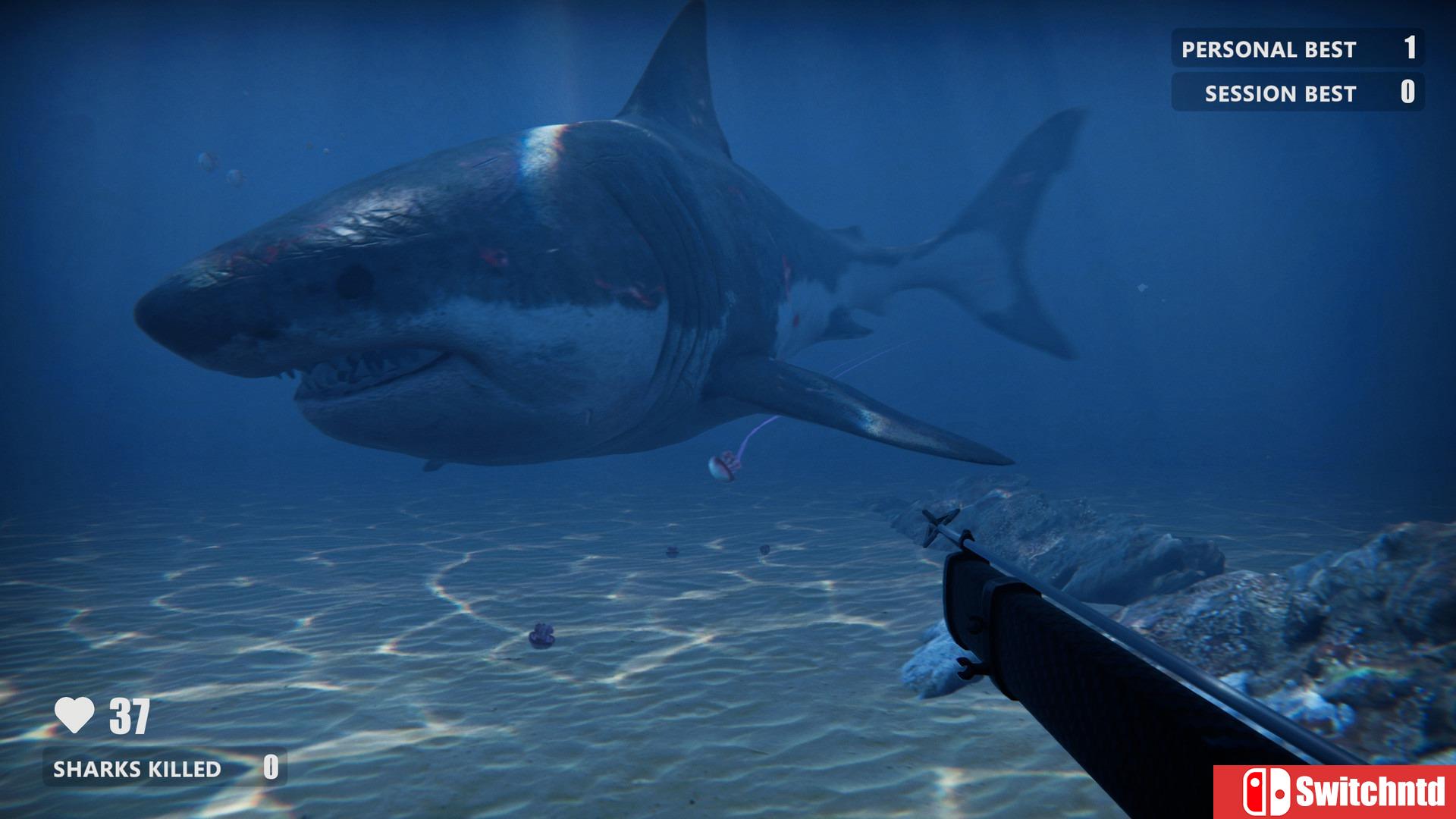 《死亡水域（Death in the Water）》DARKZER0硬盘版[CN/EN]_2