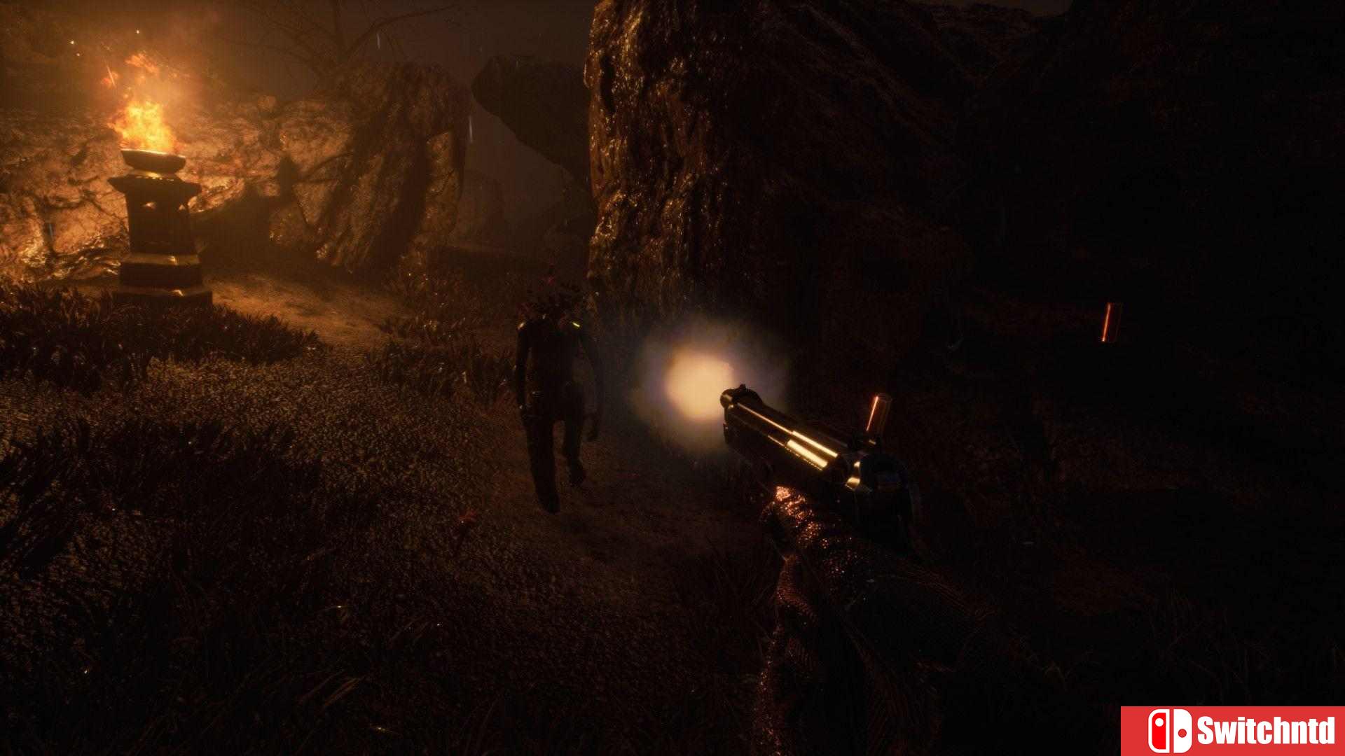 《RIP计划（Project RIP）》SKIDROW镜像版[CN/EN/JP]_5