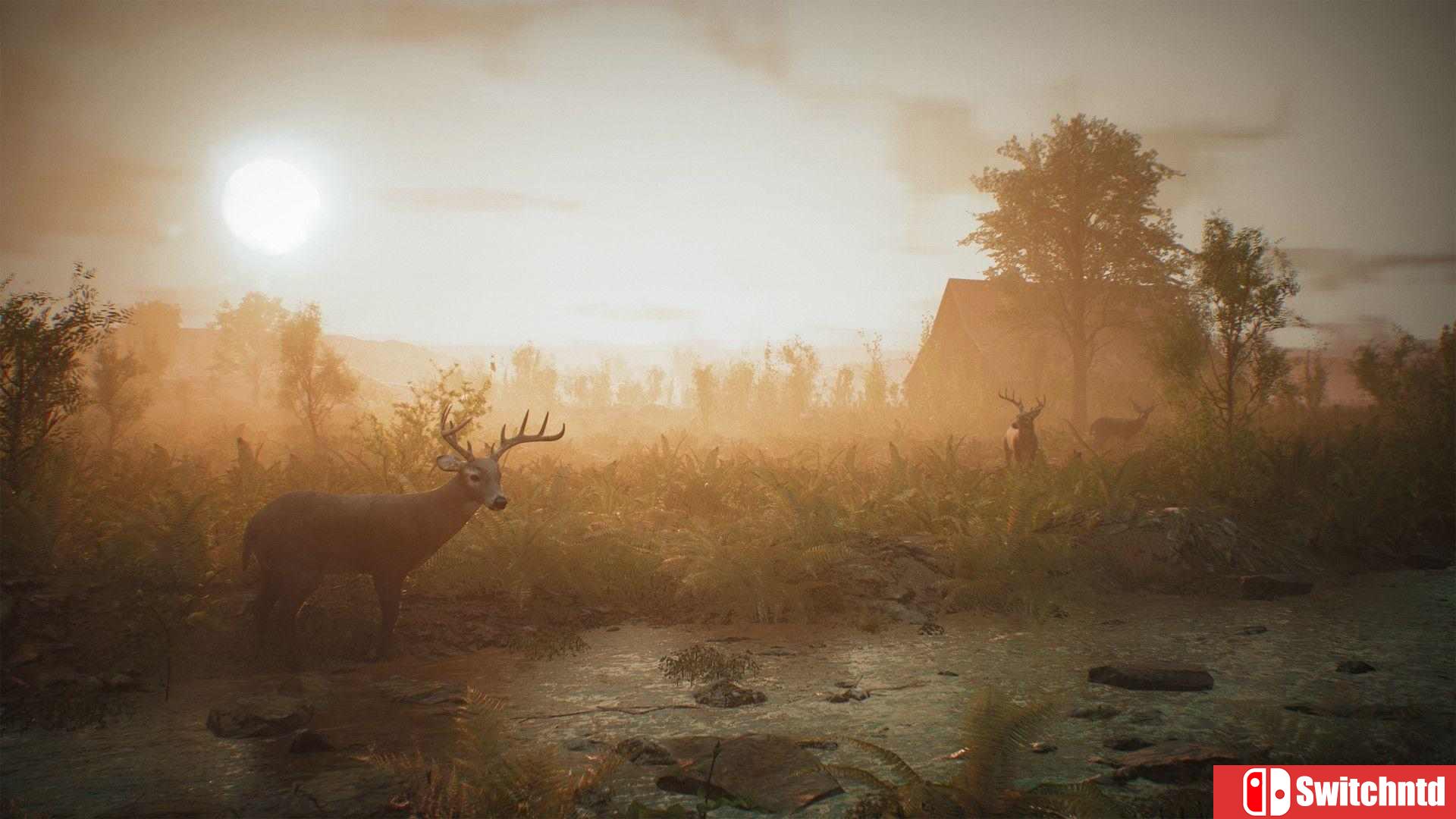 《羊肚菌：狩猎（Morels: The Hunt）》HOODLUM镜像版[CN/EN]_2