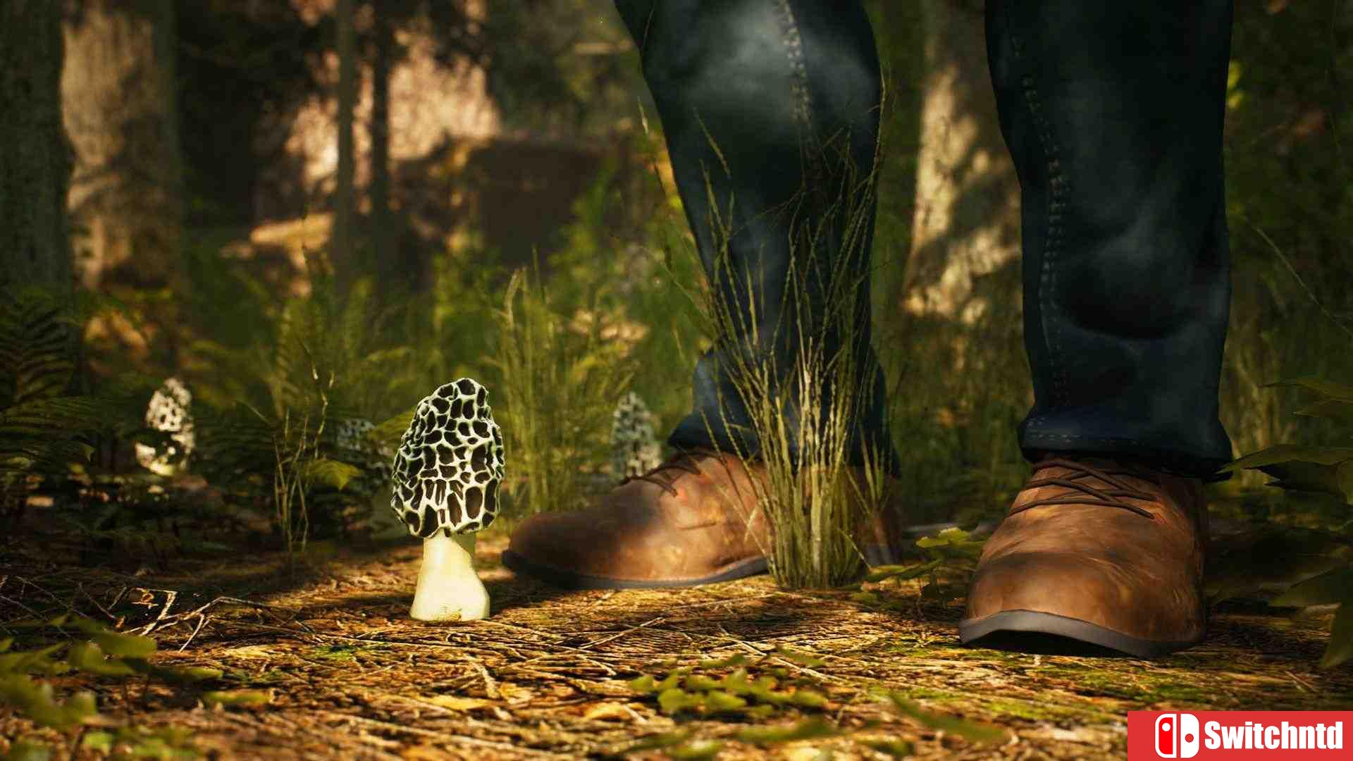 《羊肚菌：狩猎（Morels: The Hunt）》HOODLUM镜像版[CN/EN]_1