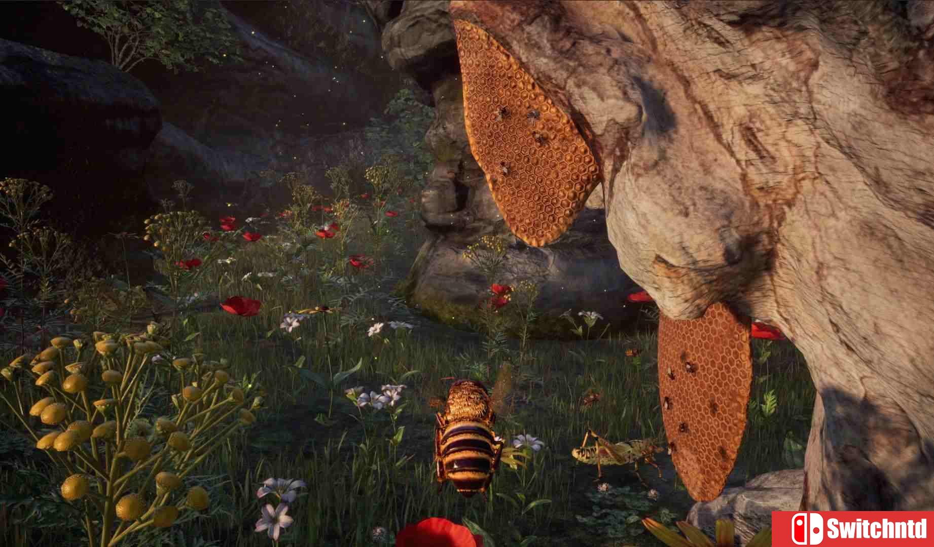 《蜜蜂模拟器（Bee Simulator）》CODEX镜像版[CN/TW/EN/JP]_1