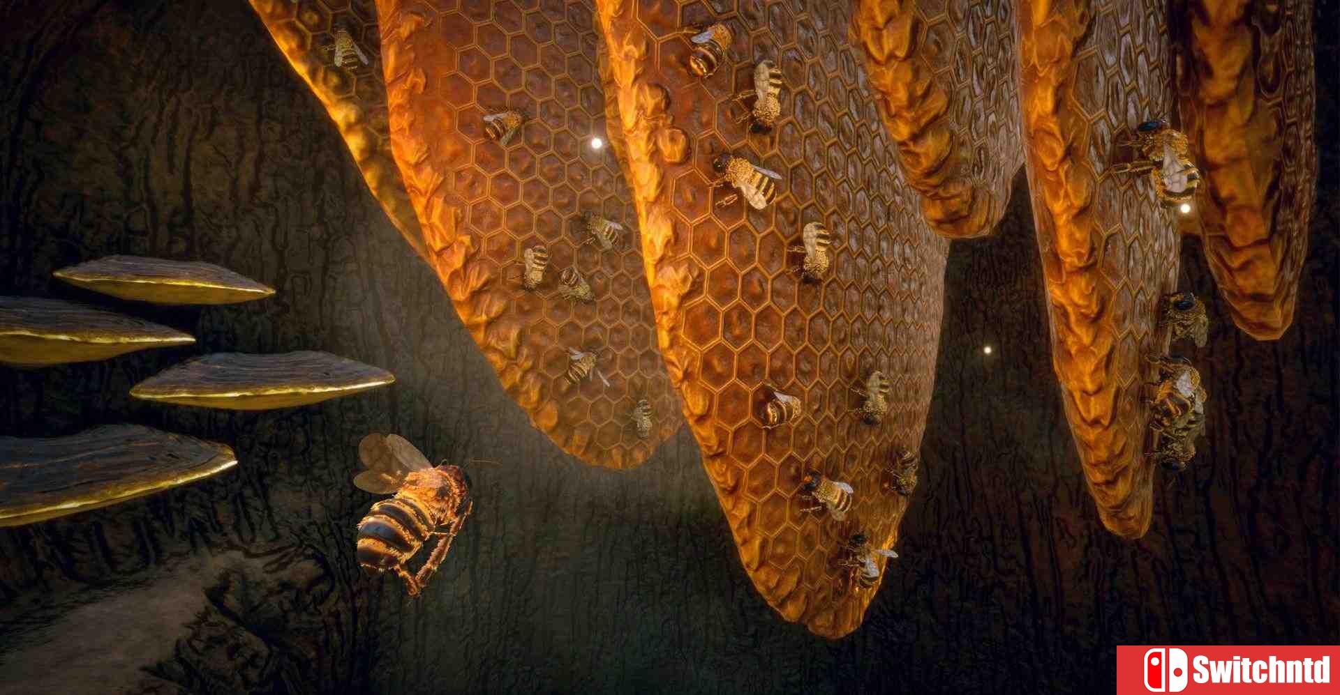 《蜜蜂模拟器（Bee Simulator）》CODEX镜像版[CN/TW/EN/JP]_5