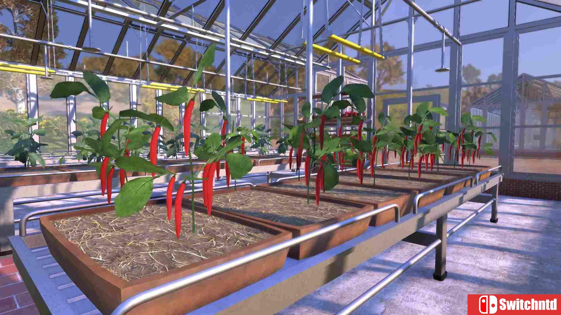 《农民模拟器（Farmer's Dynasty）》CODEX镜像版[CN/TW/EN/JP]_3