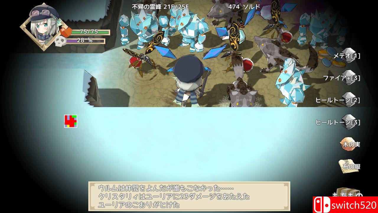 《NonetEnsemble：满载魔法的迷宫（NonetEnsemble）》DARKZER0硬盘版[CN/TW/EN/JP]_2